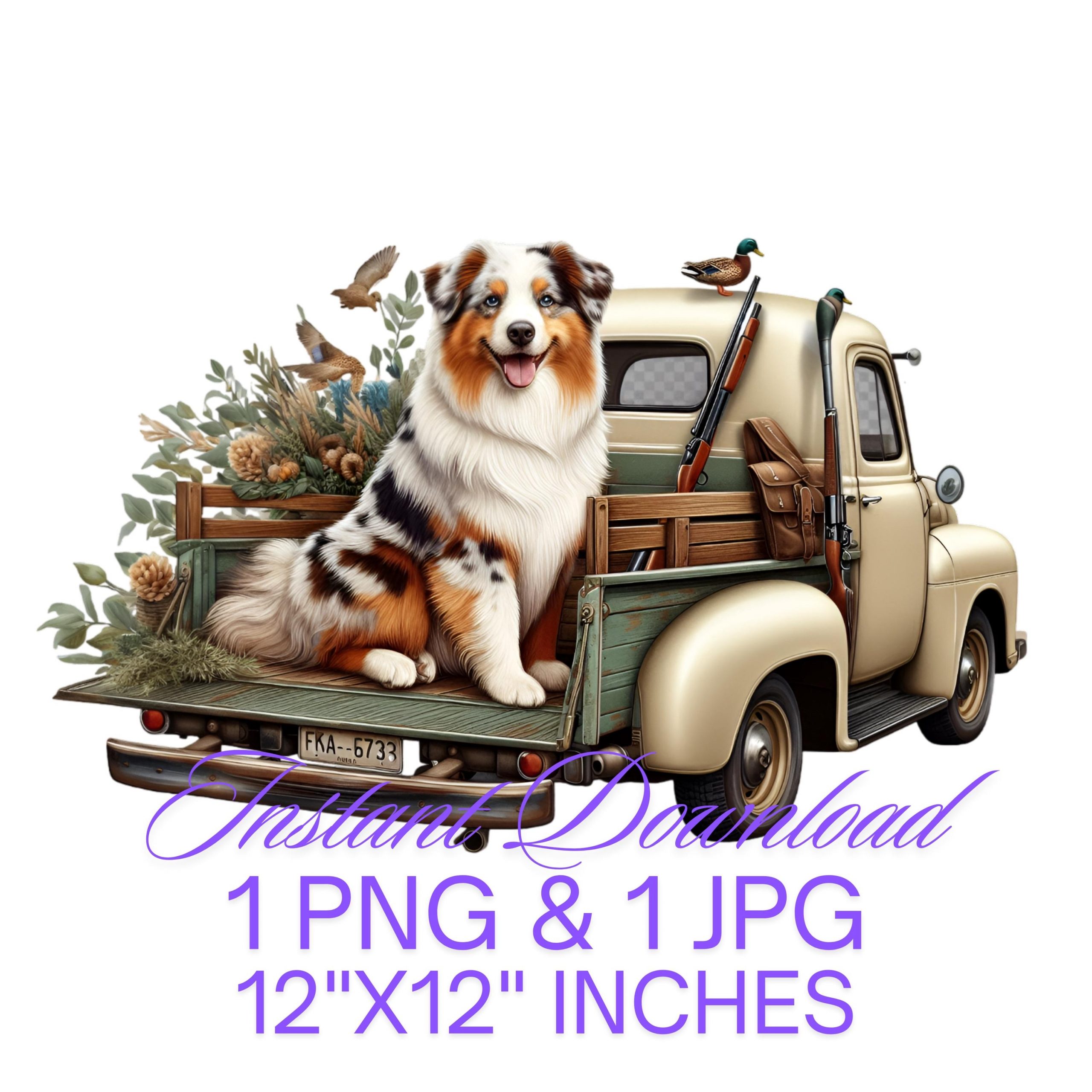 Australian Shepherd Dog Cream Truck Sublimation Clipart | Cute Shepherd Dog in a Farm Truck PNG |  Commercial Use | Hunting Dog Hunter Dog – Instant Digital Download