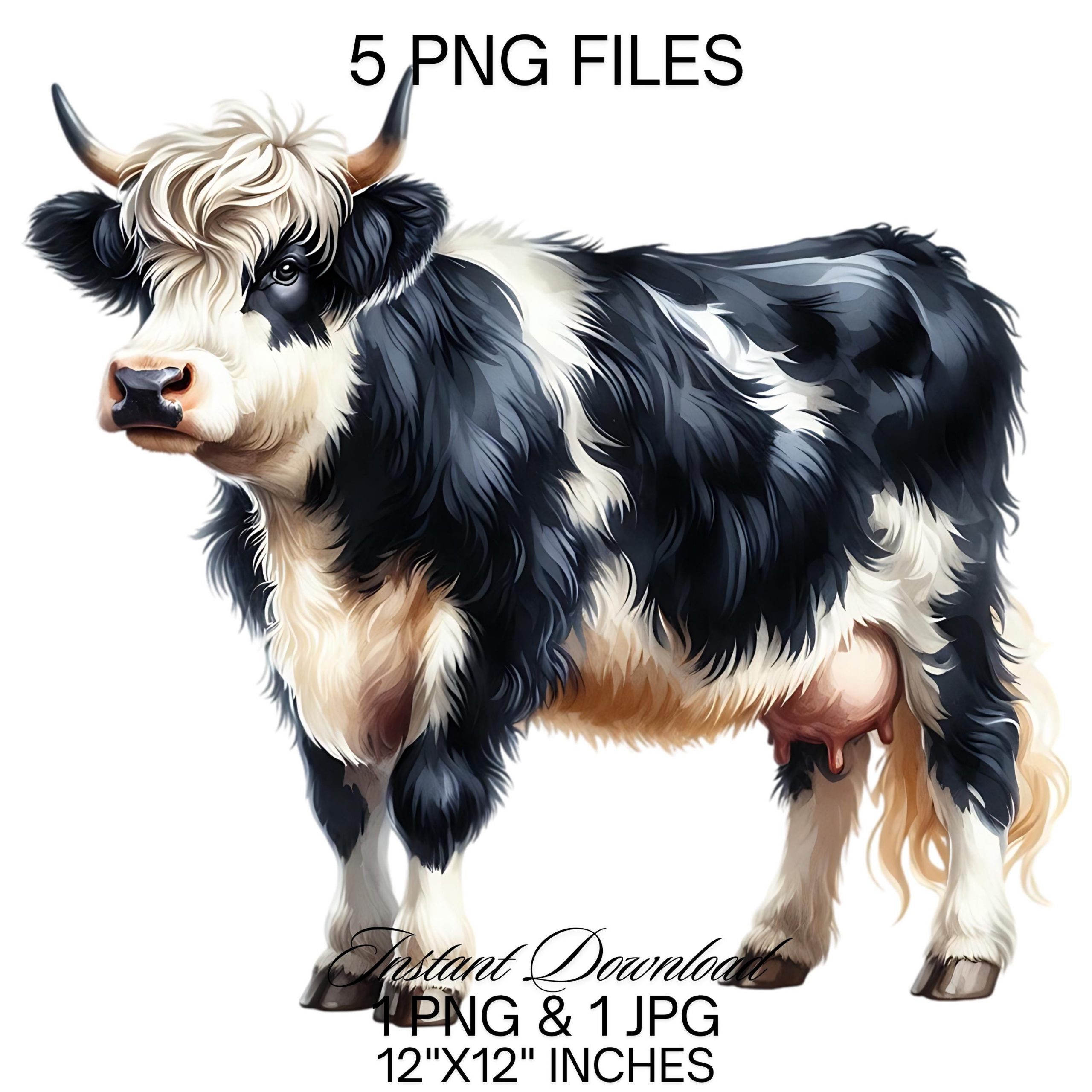Black & White Cow Clipart PNG | 5 Watercolor Highland Dairy Milk Cow Commercial Use | Farm Milk Cow Graphic Dairy Cattle Design Illustration – Instant Digital Download