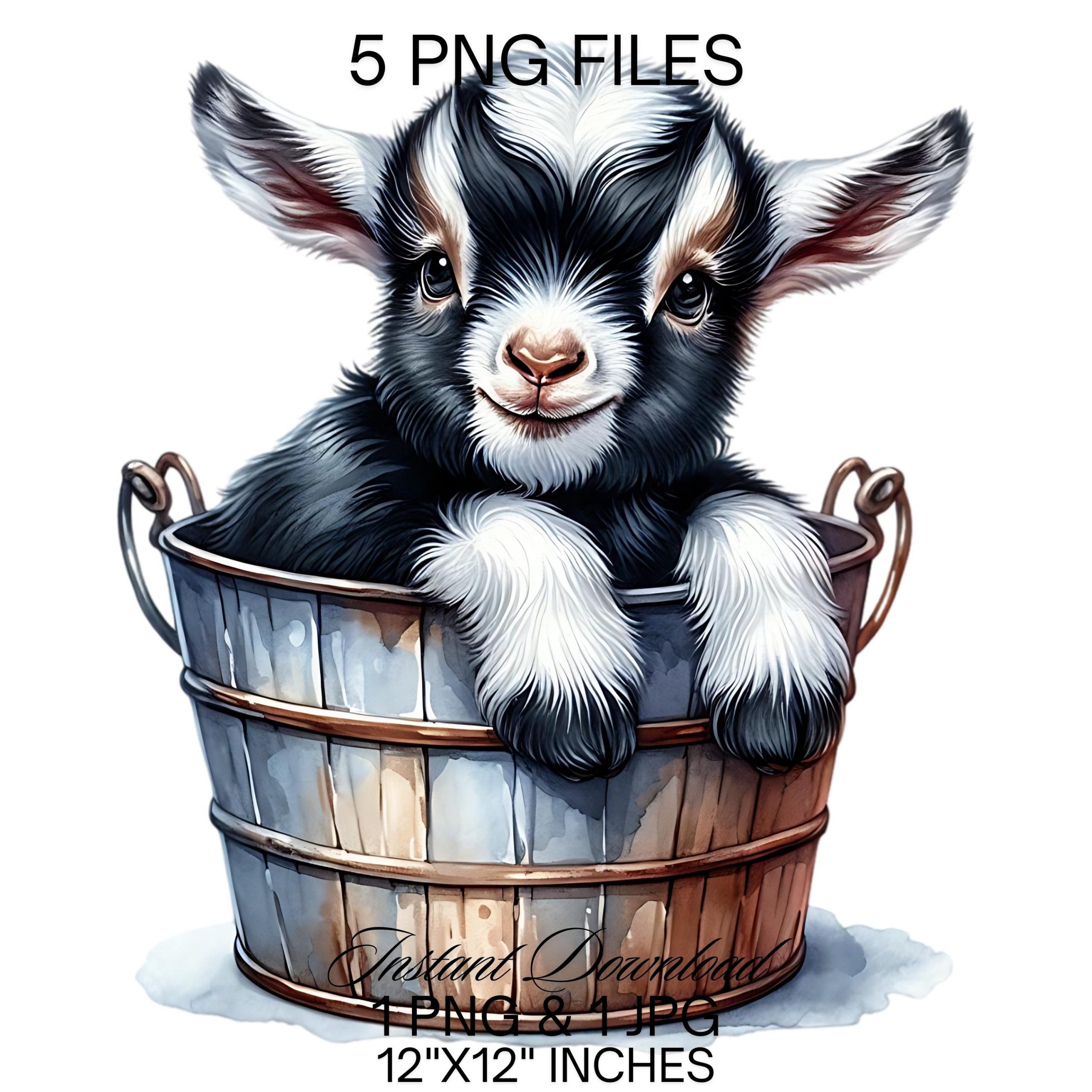 Baby Goat in a Bucket Watercolor Clipart PNG | Cute Black White Goat & Bucket PNG Commercial Use | Kid Goat Farm Animals Graphics Clipart – Instant Digital Download