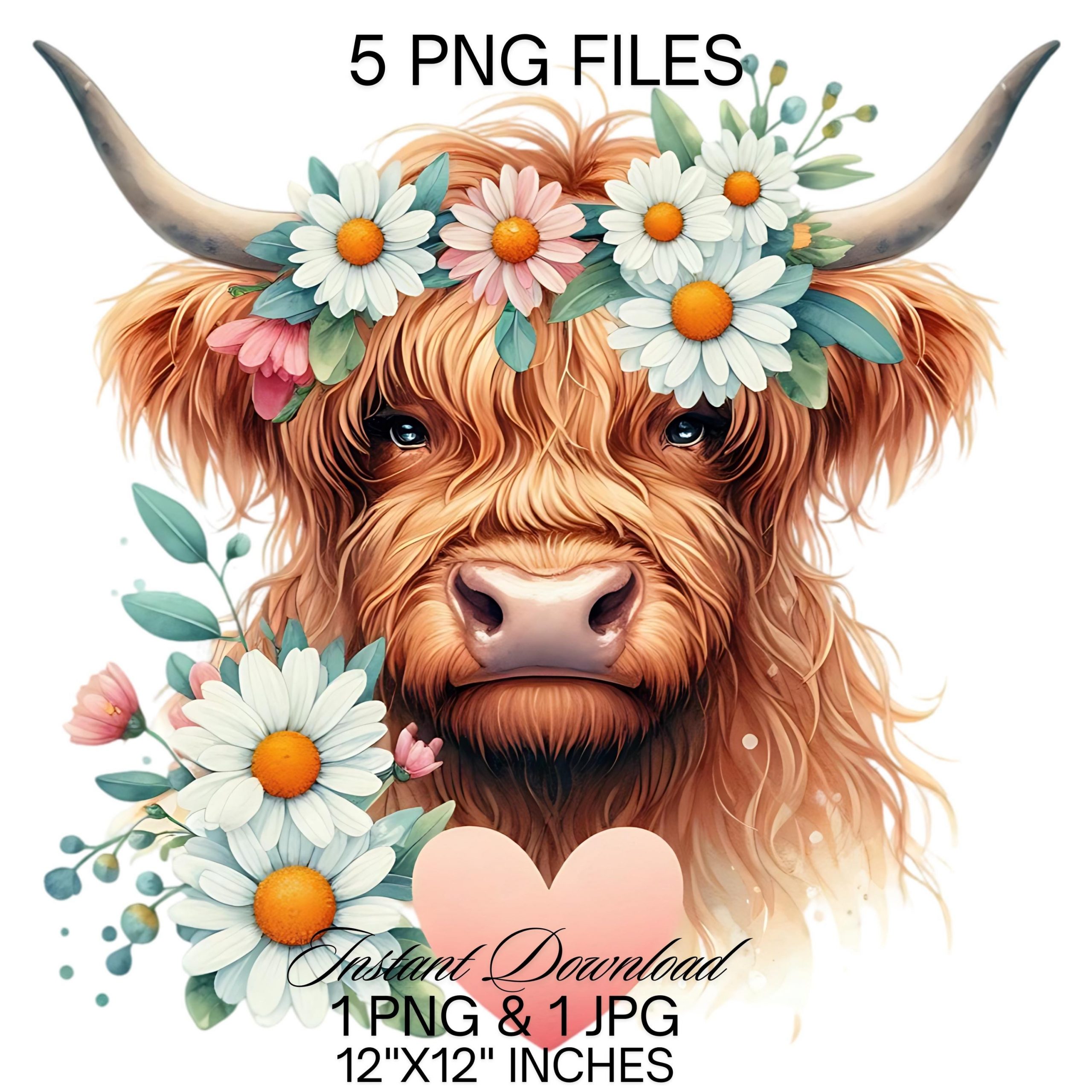 Highland Cow Watercolor Clipart PNG | 5 Highland Cow Spring Daisy Flowers & Heart | Scottish Cow Graphic Design Illustration Commercial Use – Instant Digital Download