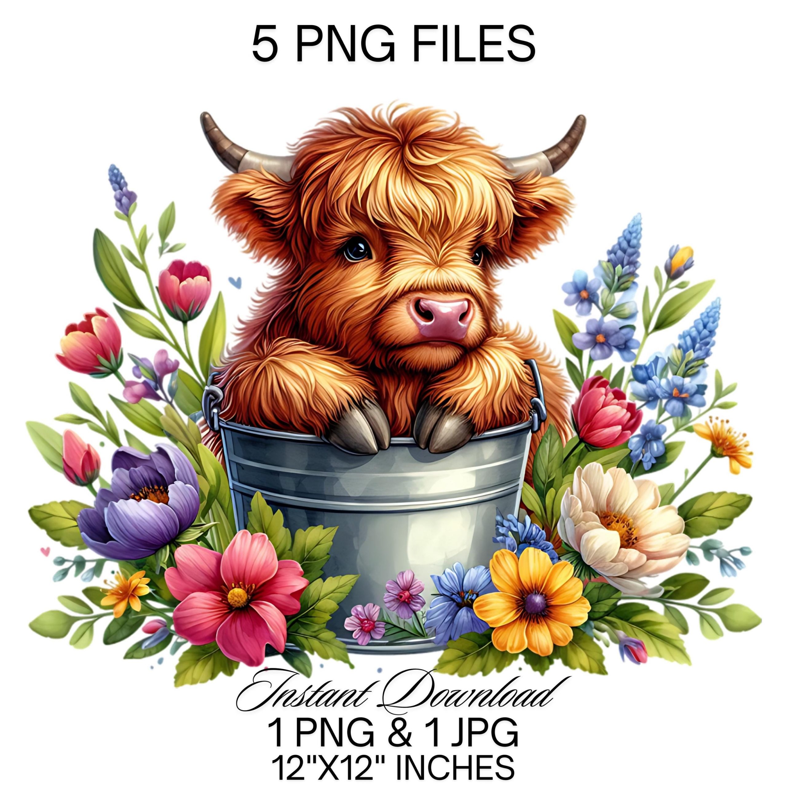 Highland Cow Watercolor Clipart PNG | 5 Cute Highland Cow in Bucket Spring Flowers | Scottish Cow Graphic Design Illustration Commercial Use – Instant Digital Download