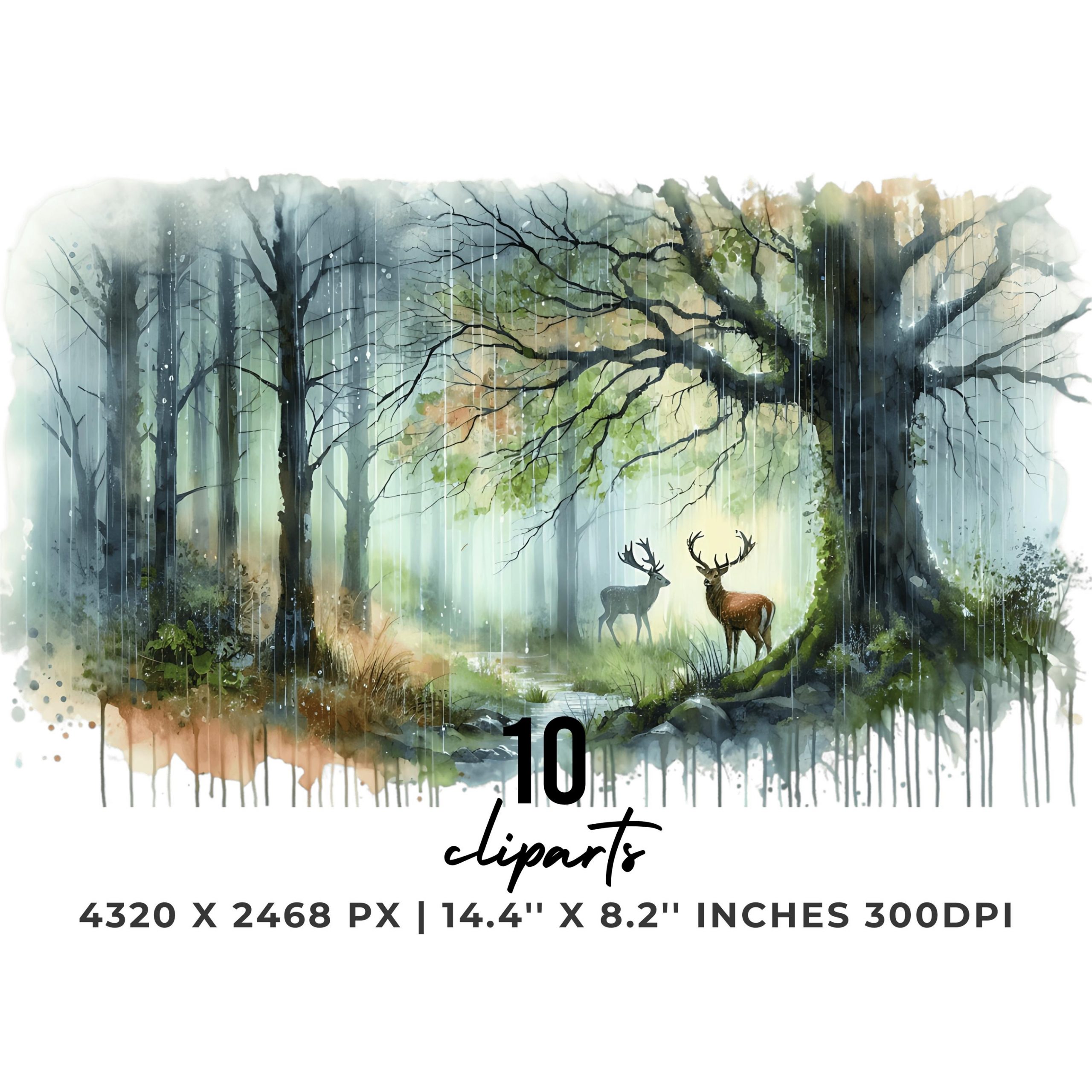 10 Rainfall Clipart PNG | Clipart Rainforest | Precipitation Clipart | Rain Clip Art Images Tropical Rainforest Sublimation Commercial Use – Instant Digital Download