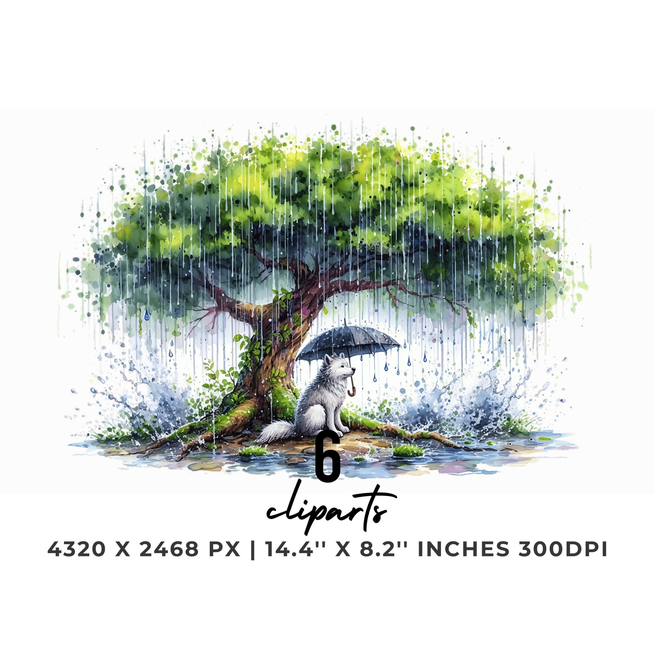 6 Rainfall Clipart PNG | A Rainbow Clipart | Precipitation Clipart | Rain Clip Art Images Tropical Rainforest Sublimation Commercial Use – Instant Digital Download