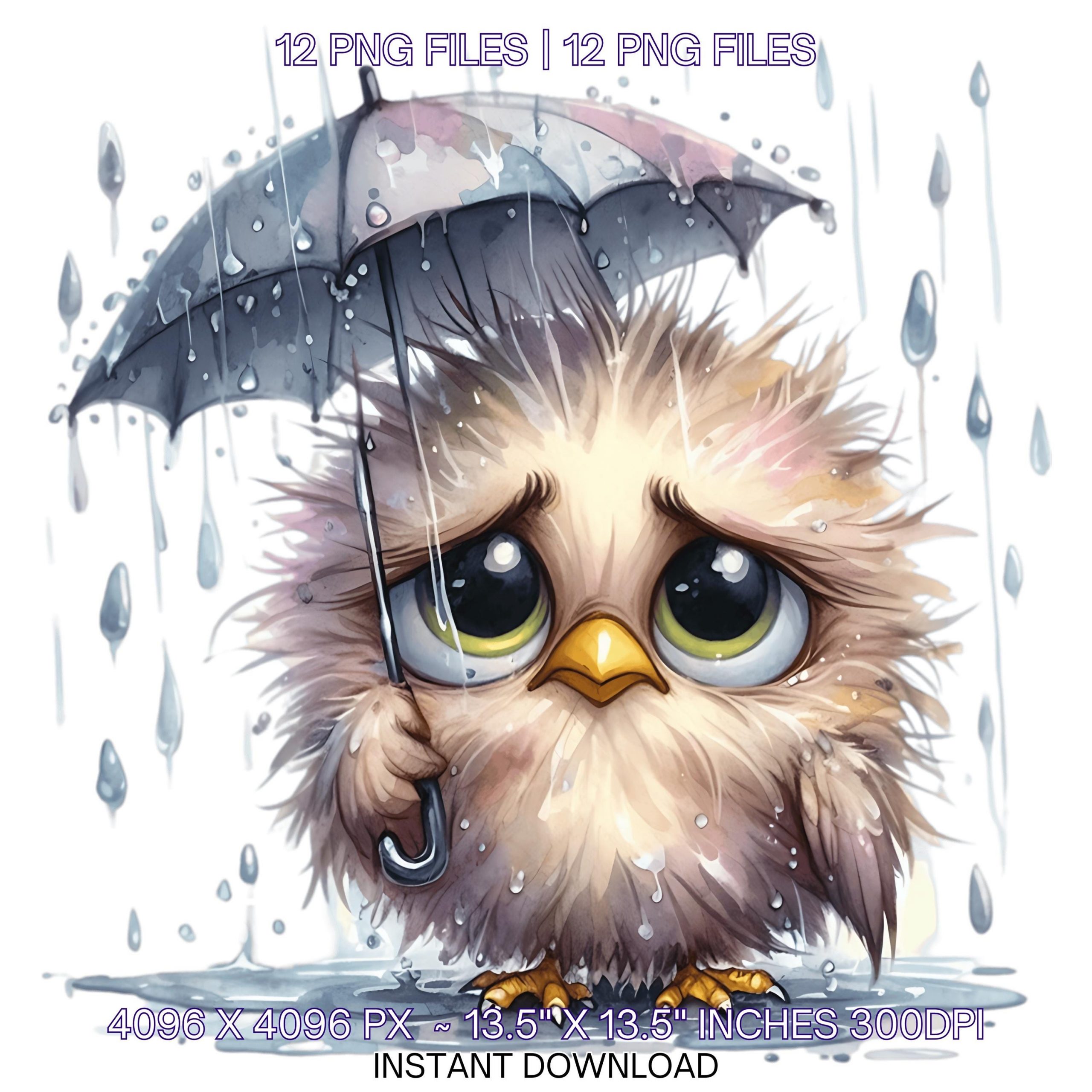 12 Frazzled Bird with a Tiny Umbrella in the Rain PNG | Quirky Grumpy Bird Clip Art Whimsical Junk Journal Scrapbooking Card Commercial Use – Instant Digital Download