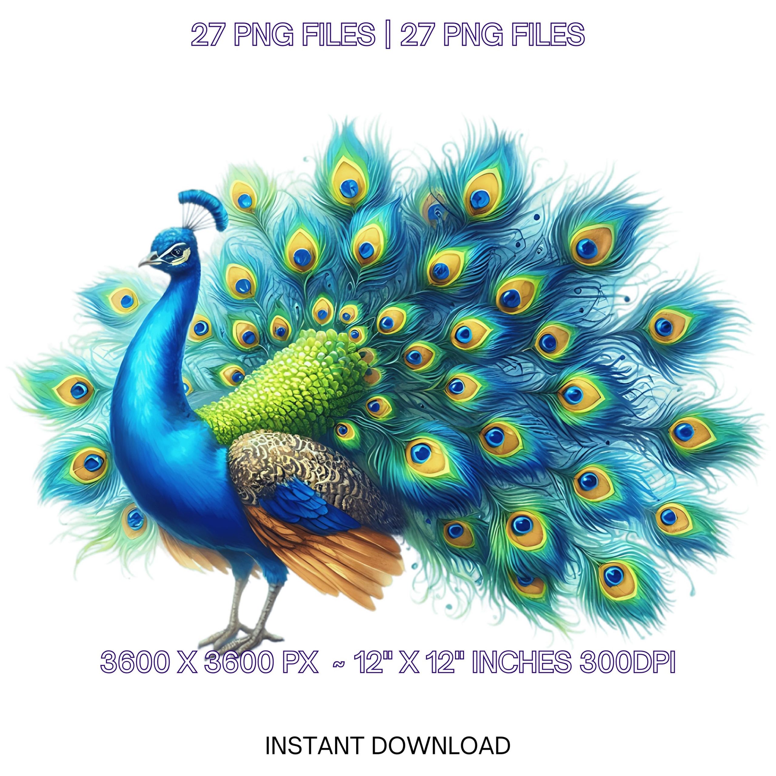 27 Adorable Peacock Clipart PNG | Watercolor Realistic Peacock Card Making, Junk Journal, Scrapbooking, Sublimation Design Commercial Use – Instant Digital Download
