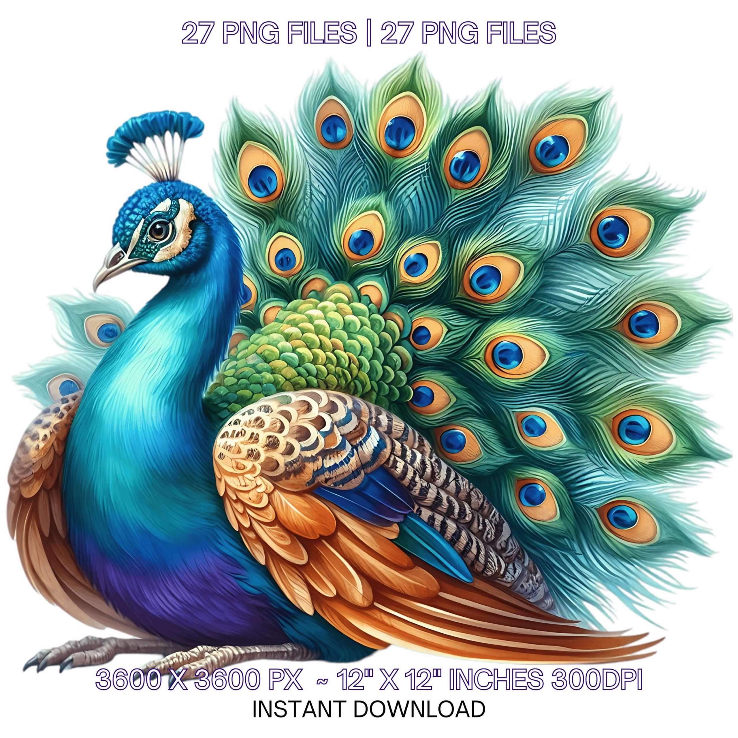 27 Adorable Peacock Clipart PNG | Watercolor Colorful Peacock Card Making, Junk Journal, Scrapbooking, Sublimation Design Commercial Use – Instant Digital Download