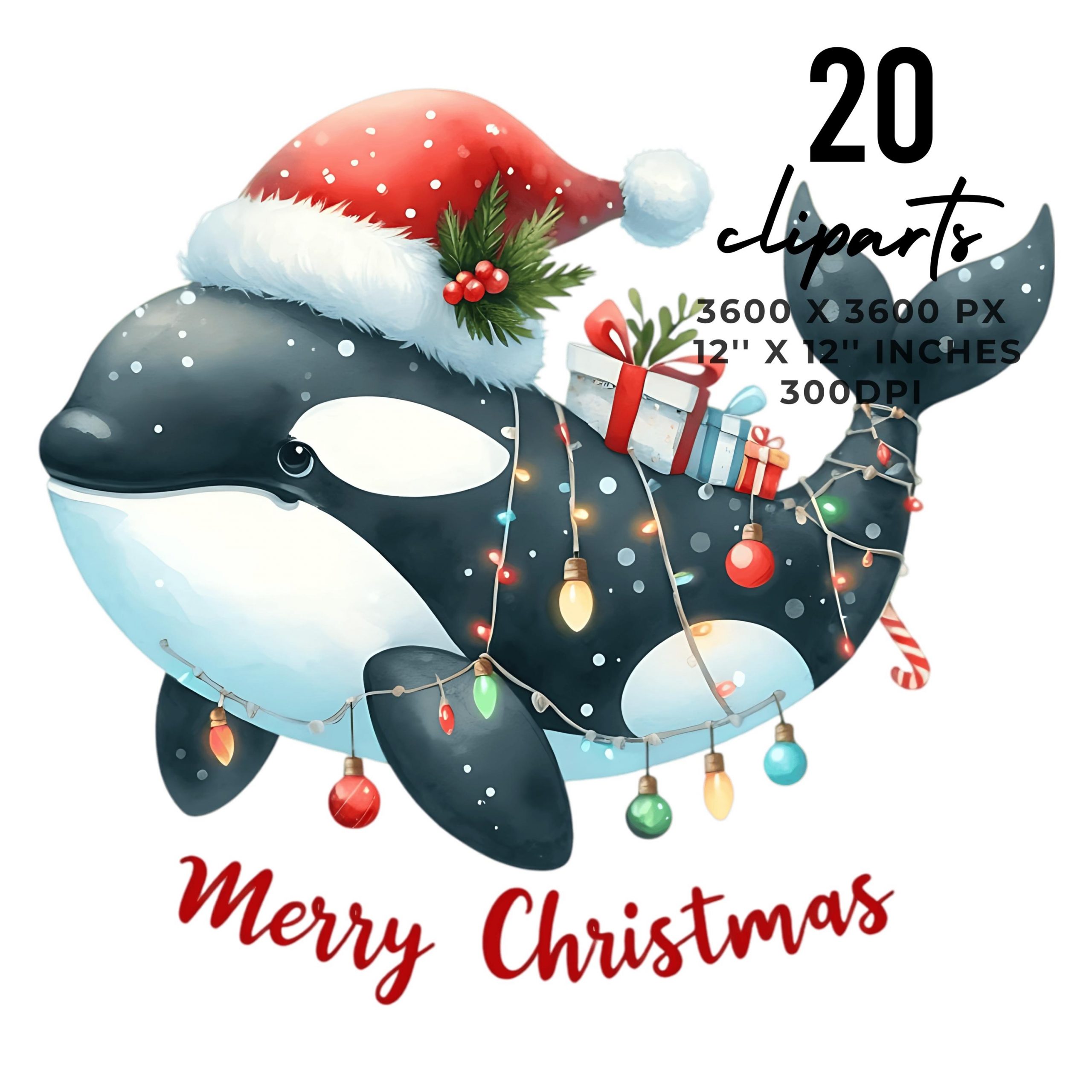 20 Whale Orca PNG Clipart | Christmas Whale | Ocean Sea Animals | Santa Orca | Sea Whale Beach Nautical Xmas Fish Sublimation Commercial Use – Instant Digital Download
