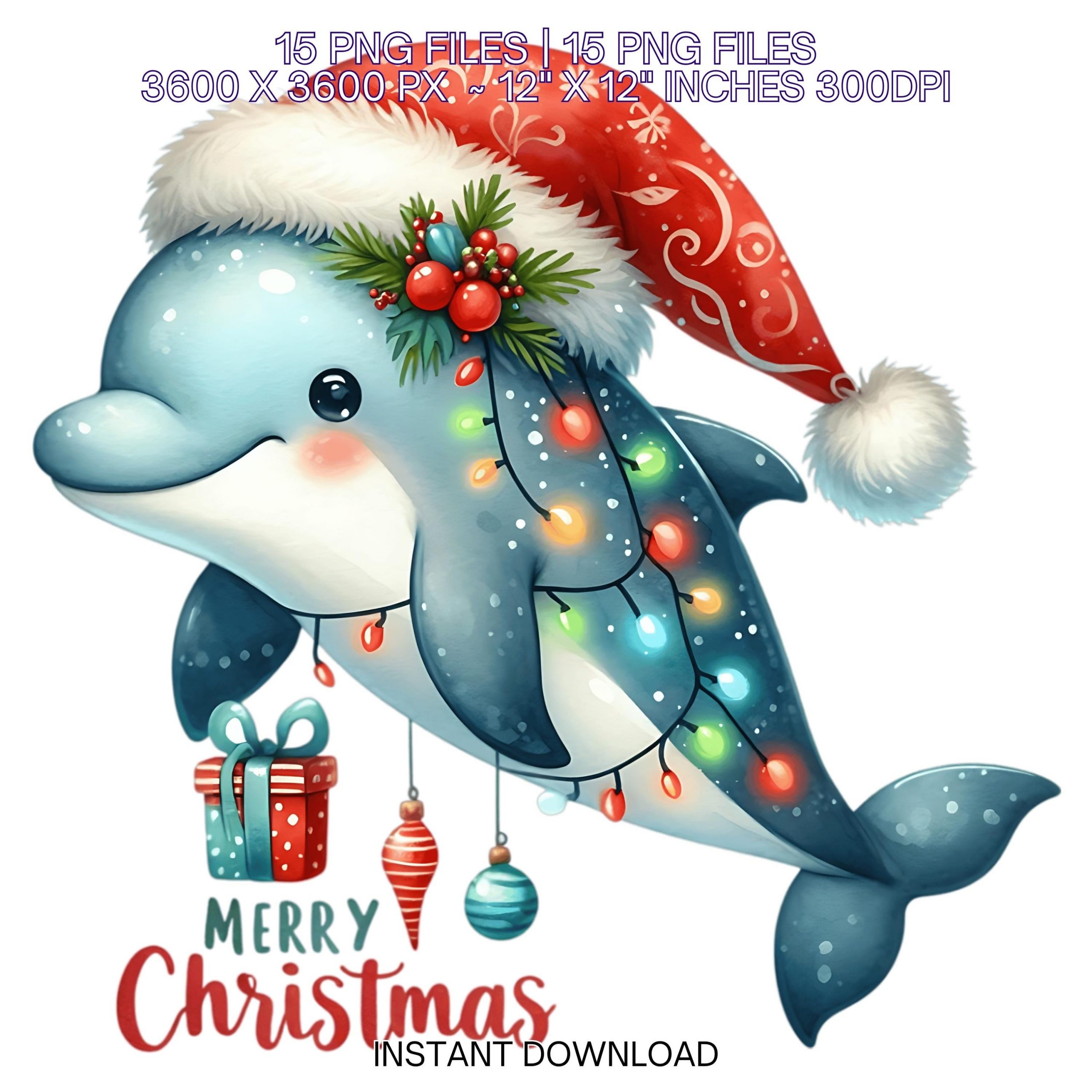 15 Merry Christmas DOLPHIN PNG Clipart | Ocean Sea Animals | Santa Dolphin | Sea Whale Beach Nautical Xmas Fish Sublimation Commercial Use – Instant Digital Download
