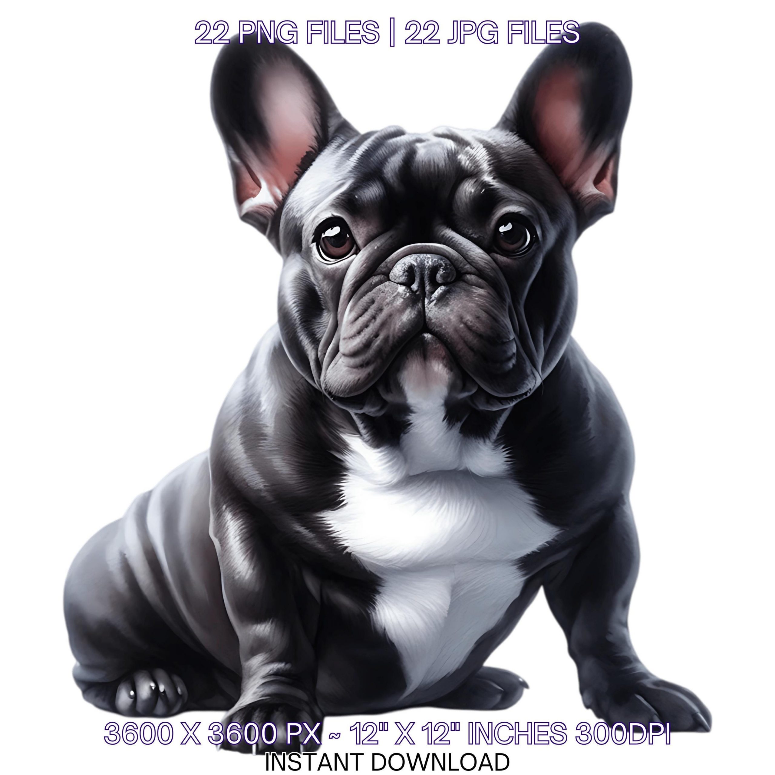 22 French Bulldog Dog for Pet Portrait PNG Clipart, Watercolor Black French Bulldog Dog Card Making, Scrapbooking Sublimation Commercial Use – Instant Digital Download