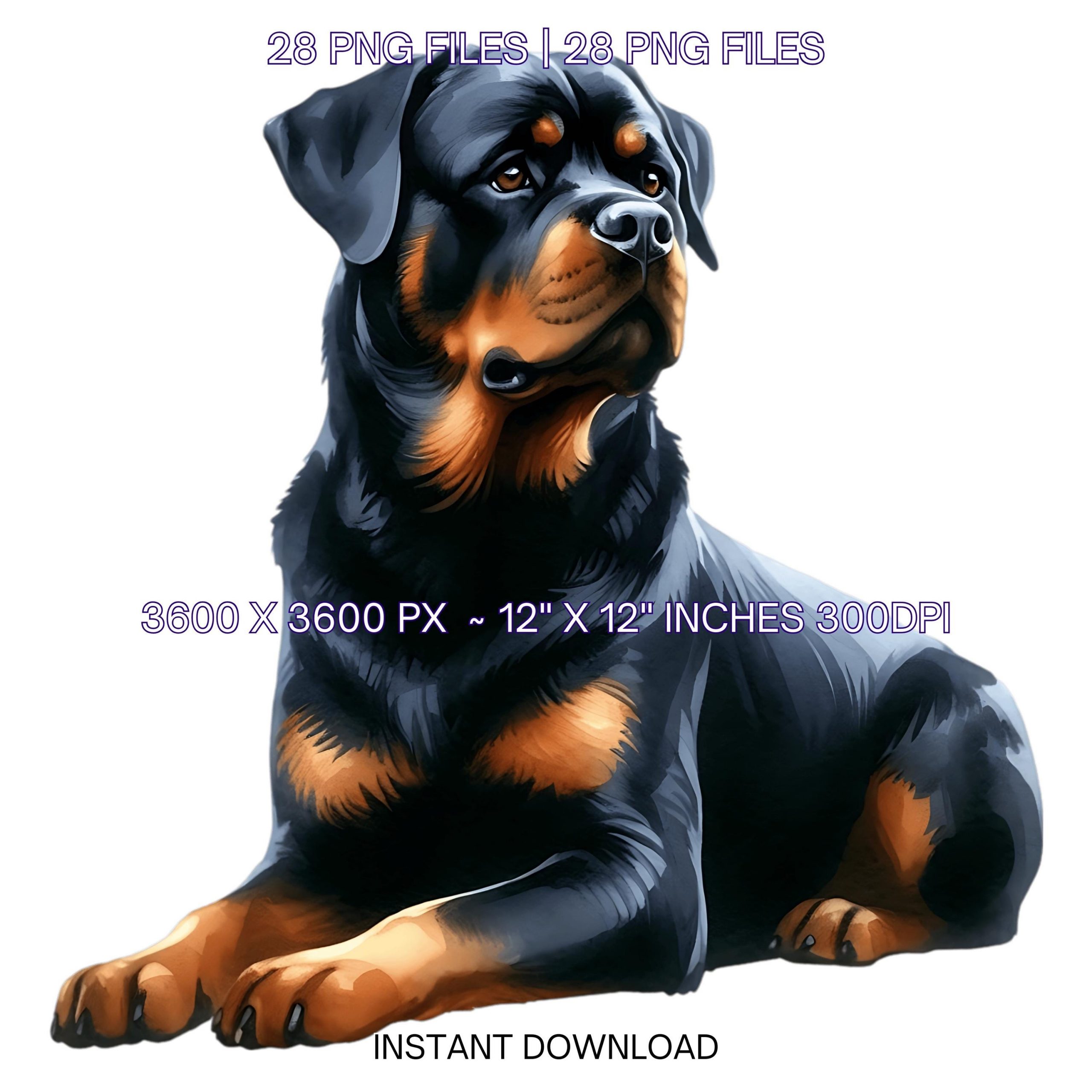 28 Rottweiler Dog PNG Clipart, Watercolor Rottweiler Dog Card Making, Scrapbooking Junk Journaling, Sublimation Pet Portrait Commercial Use – Instant Digital Download