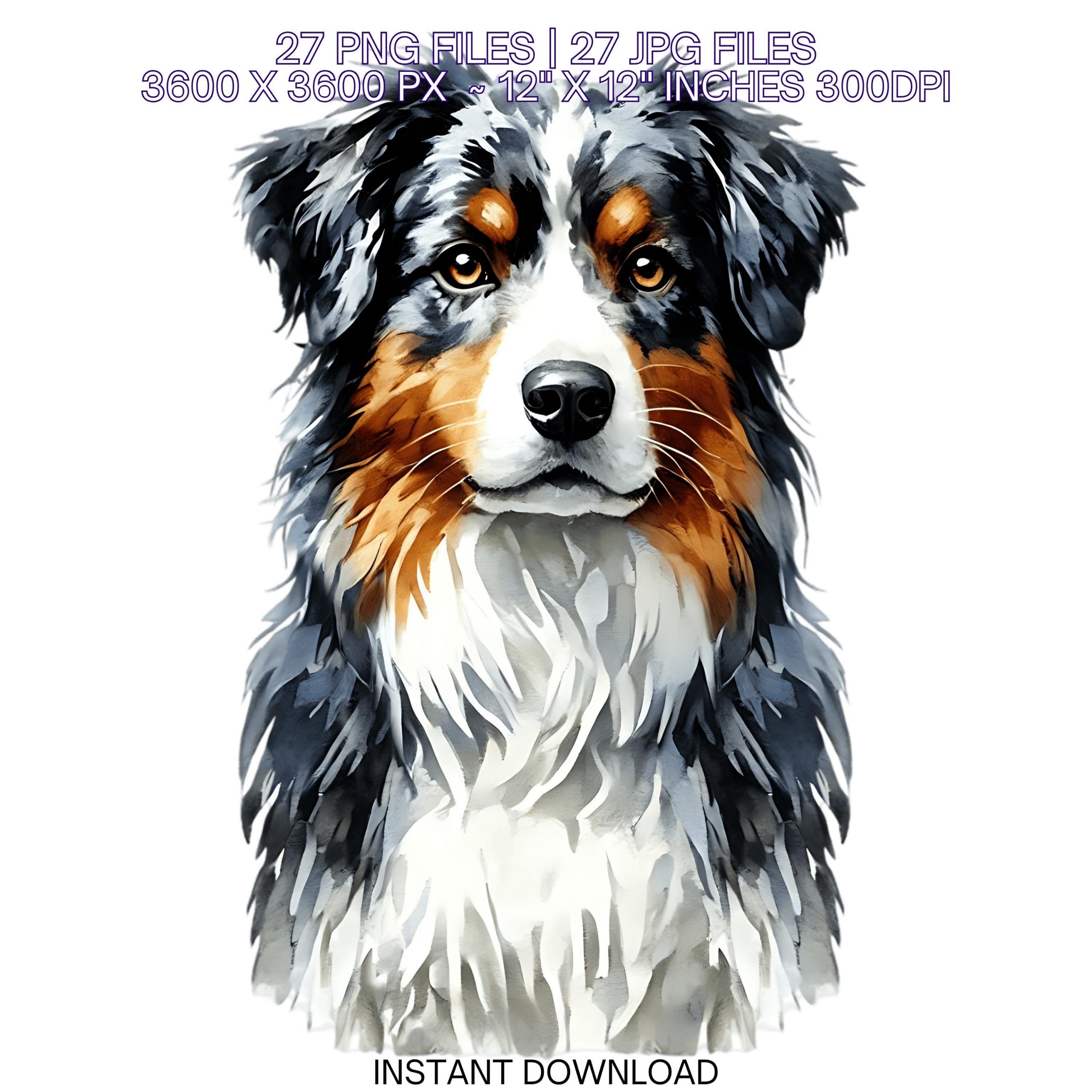 27 Australian Shepherd Dog PNG Clipart for Pet Portrait, Watercolor Dog Card Making, Scrapbooking, Junk Journaling, Sublimation Commercial – Instant Digital Download