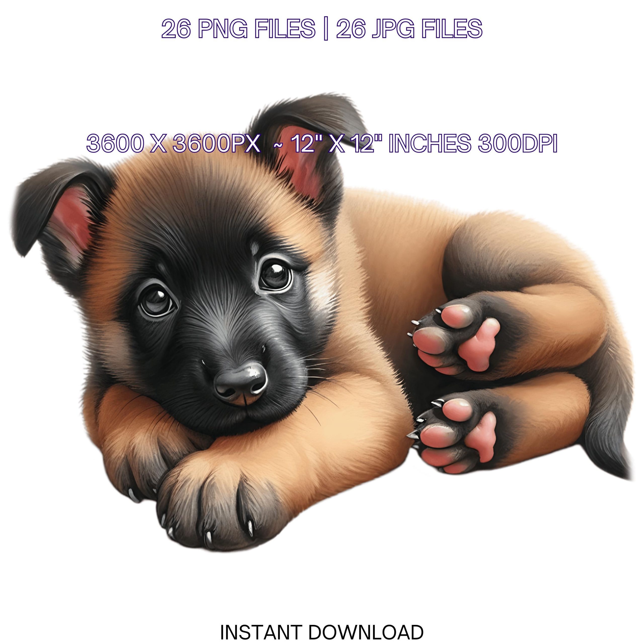 25 Belgian Malinois Puppy Dog PNG Clipart | Watercolor Baby Dog for Card Making, Scrapbooking Pet Portrait, Sublimation Commercial Use – Instant Digital Download