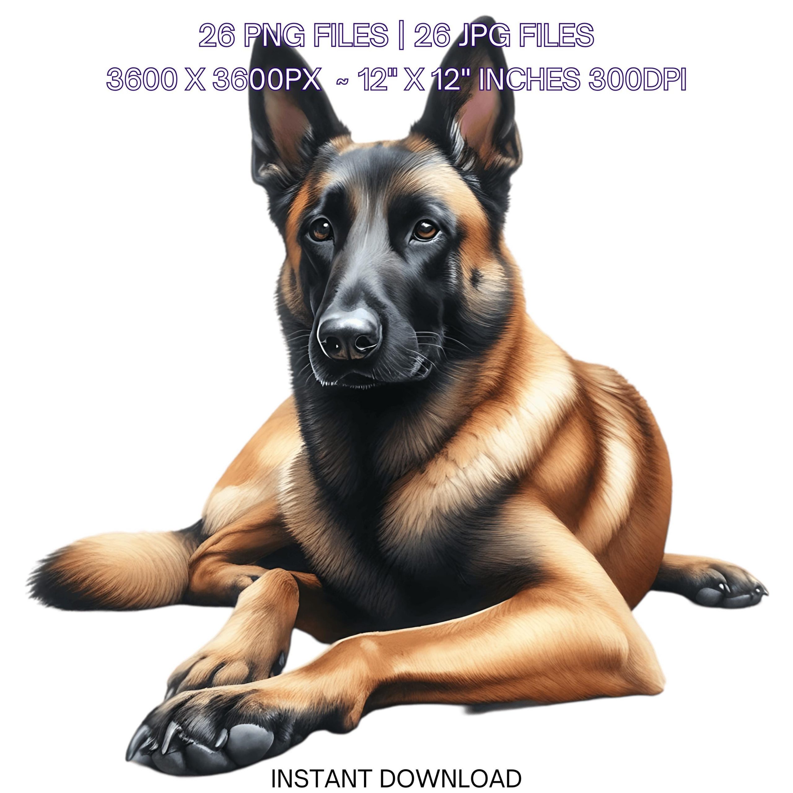 26 Belgian Malinois Dog PNG Clipart, Watercolor Dog Card Making, Scrapbooking, Junk Journaling, Sublimation Illustrations Commercial Use – Instant Digital Download