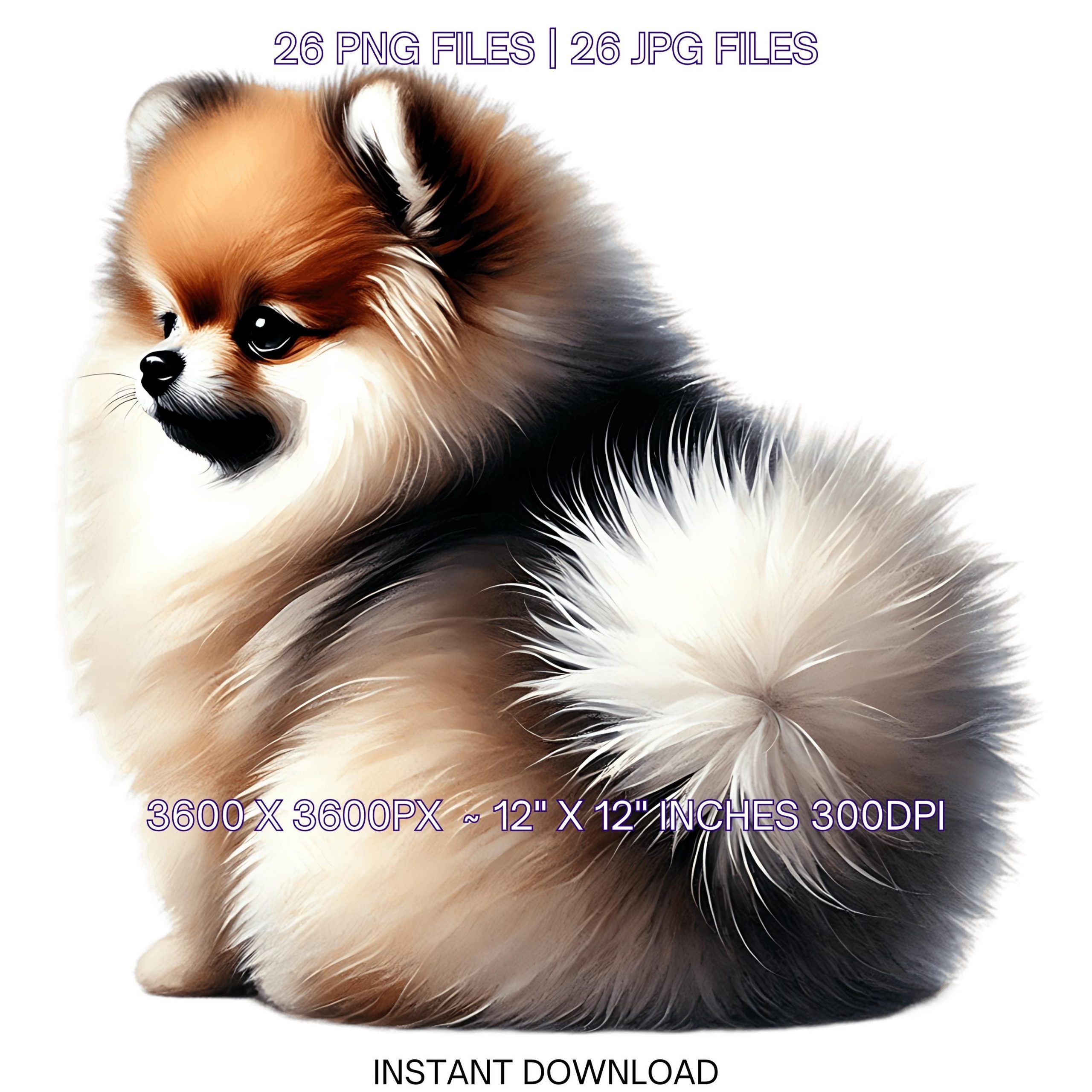 26 Pomeranian Dog PNG Clipart, Watercolor Pomeranian Dog Card Making, Scrapbooking Junk Journaling, Sublimation Illustrations Commercial Use – Instant Digital Download