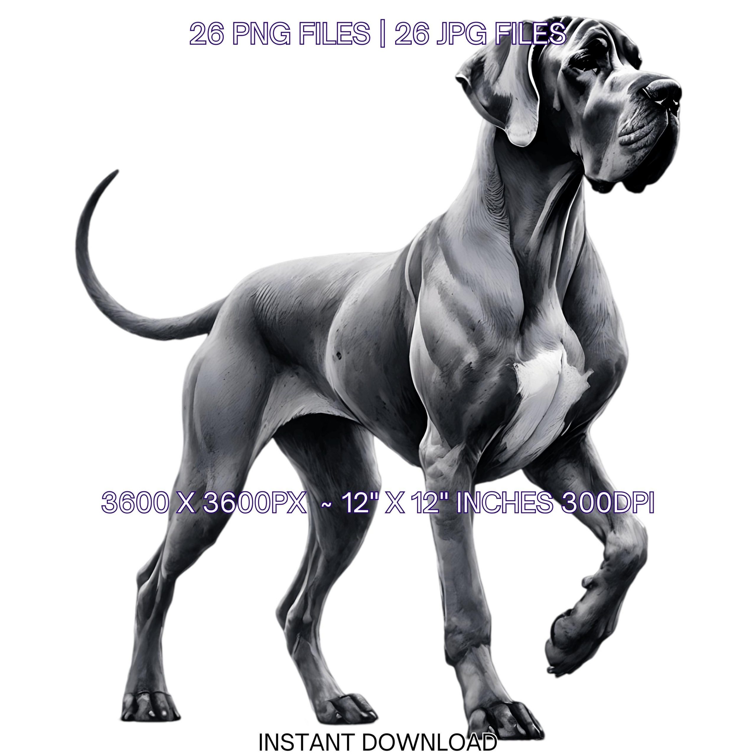 26 Great Dane Dog PNG Clipart, Watercolor Dog for Card Making, Scrapbooking, Junk Journaling, Sublimation Illustrations Commercial Use – Instant Digital Download