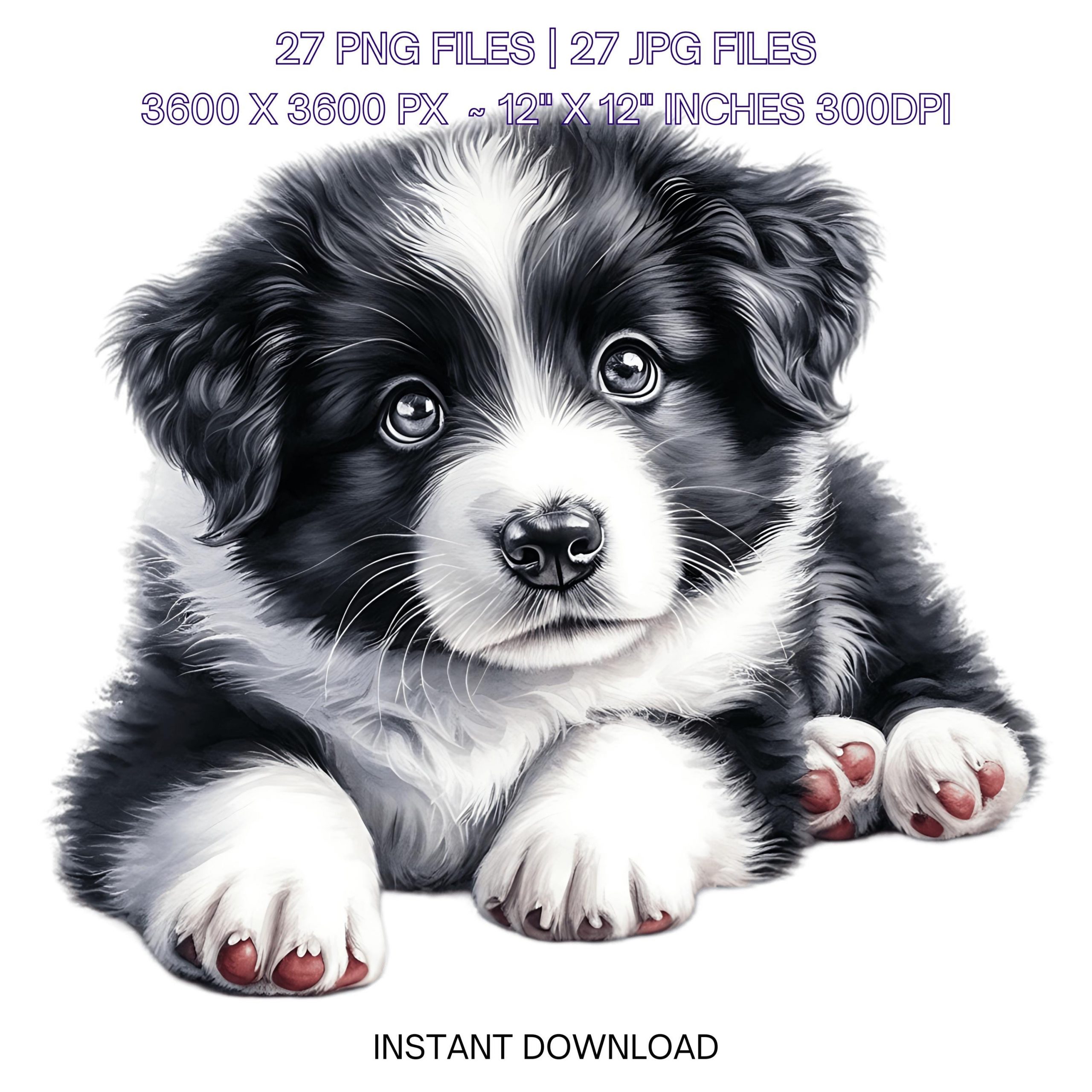 27 Border Collie Puppy Dog PNG Clipart | Pet Portrait | Watercolor Baby Dog for Card Making, Scrapbooking, Sublimation Commercial Use – Instant Digital Download