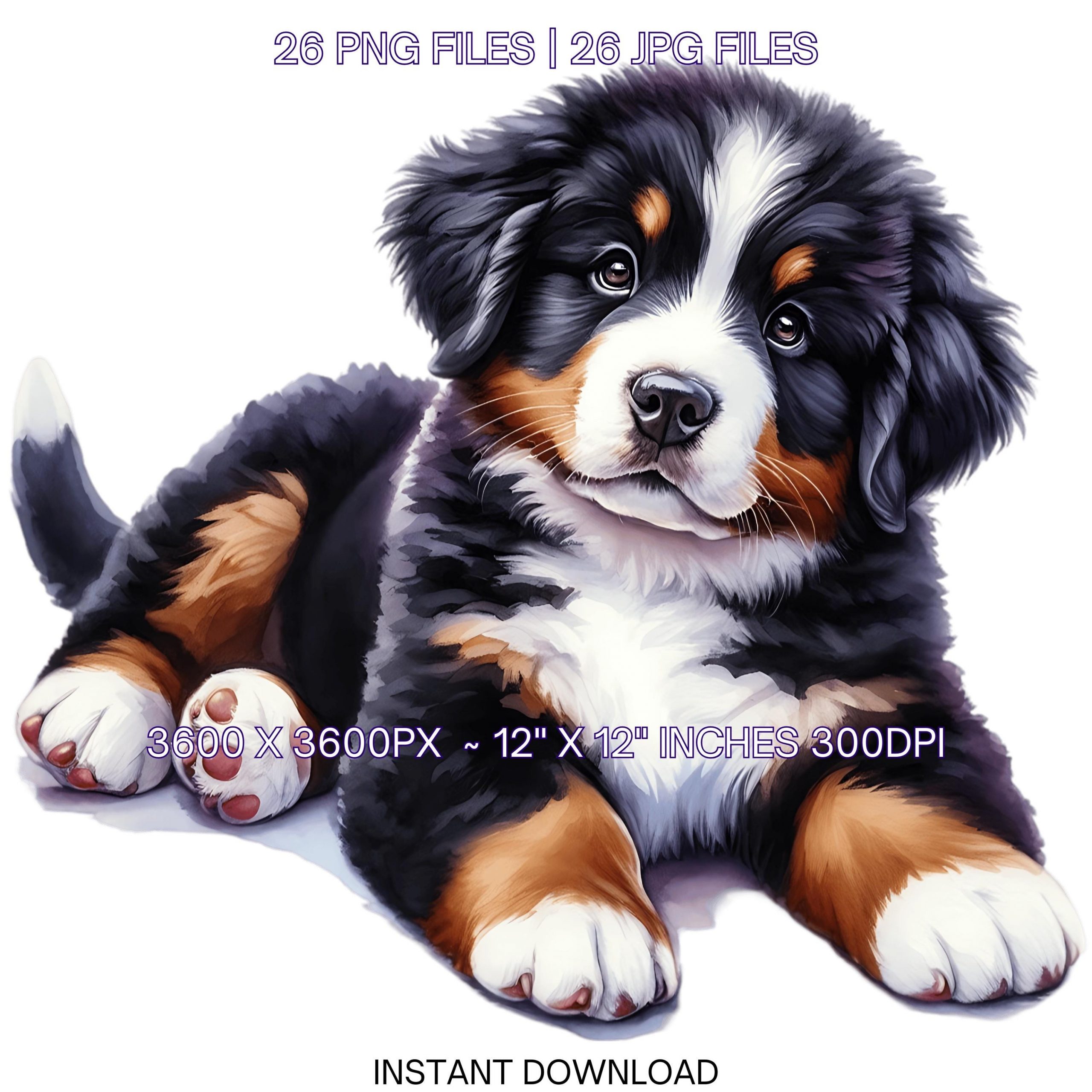 26 Bernese Mountain Puppy Dog PNG Clipart | Watercolor Baby Dog for Card Making, Scrapbooking, Junk Journaling, Sublimation Commercial Use – Instant Digital Download