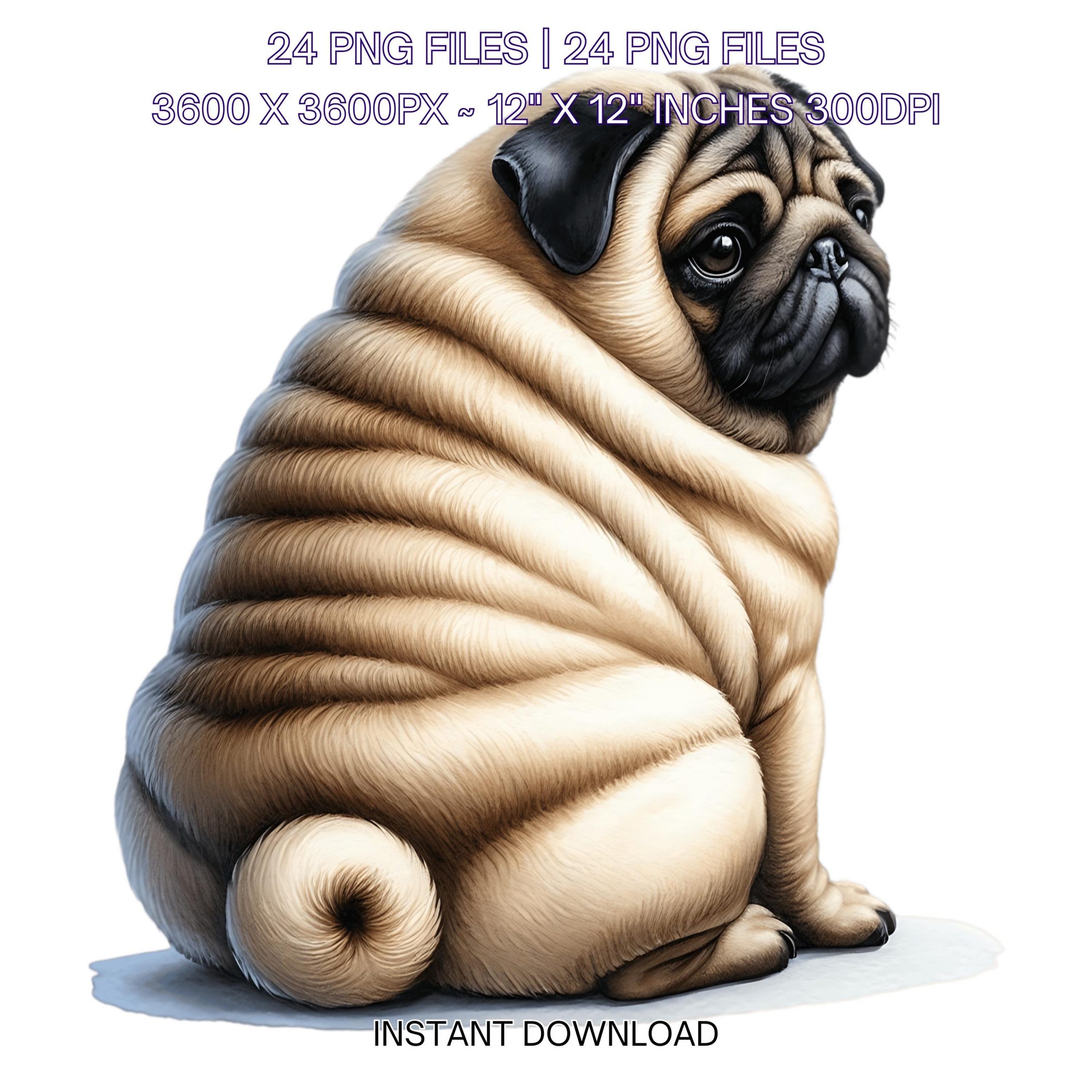 24 PUG Dog PNG Clipart, Watercolor PUG Dog for Card Making, Scrapbooking, Junk Journaling, Sublimation Illustrations Pet Portrait Commercial – Instant Digital Download