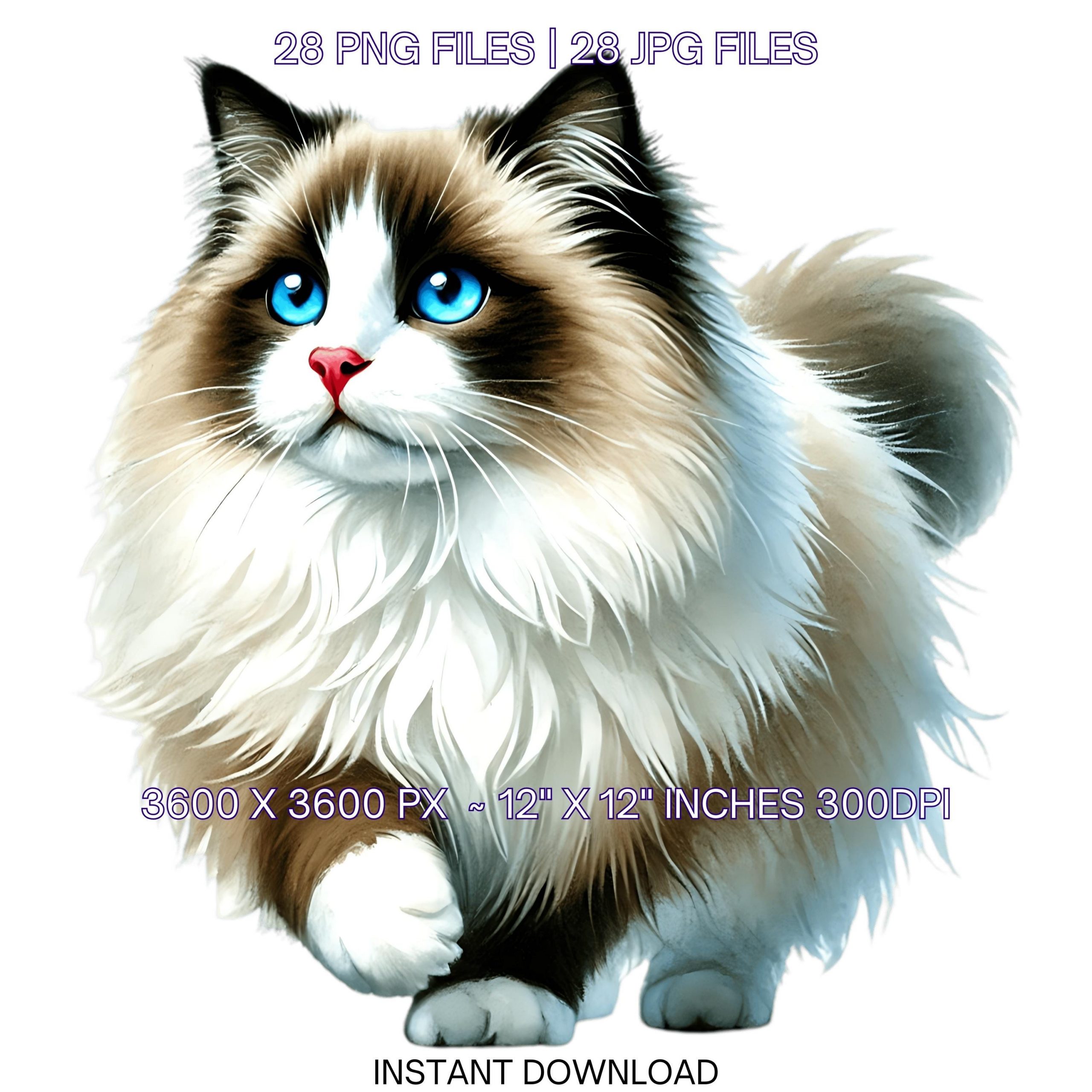 28 Ragdoll Cat PNG Clipart, Watercolor Cats as Pets for Card Making, Scrapbooking, Junk Journaling, Sublimation Illustrations Commercial Use – Instant Digital Download