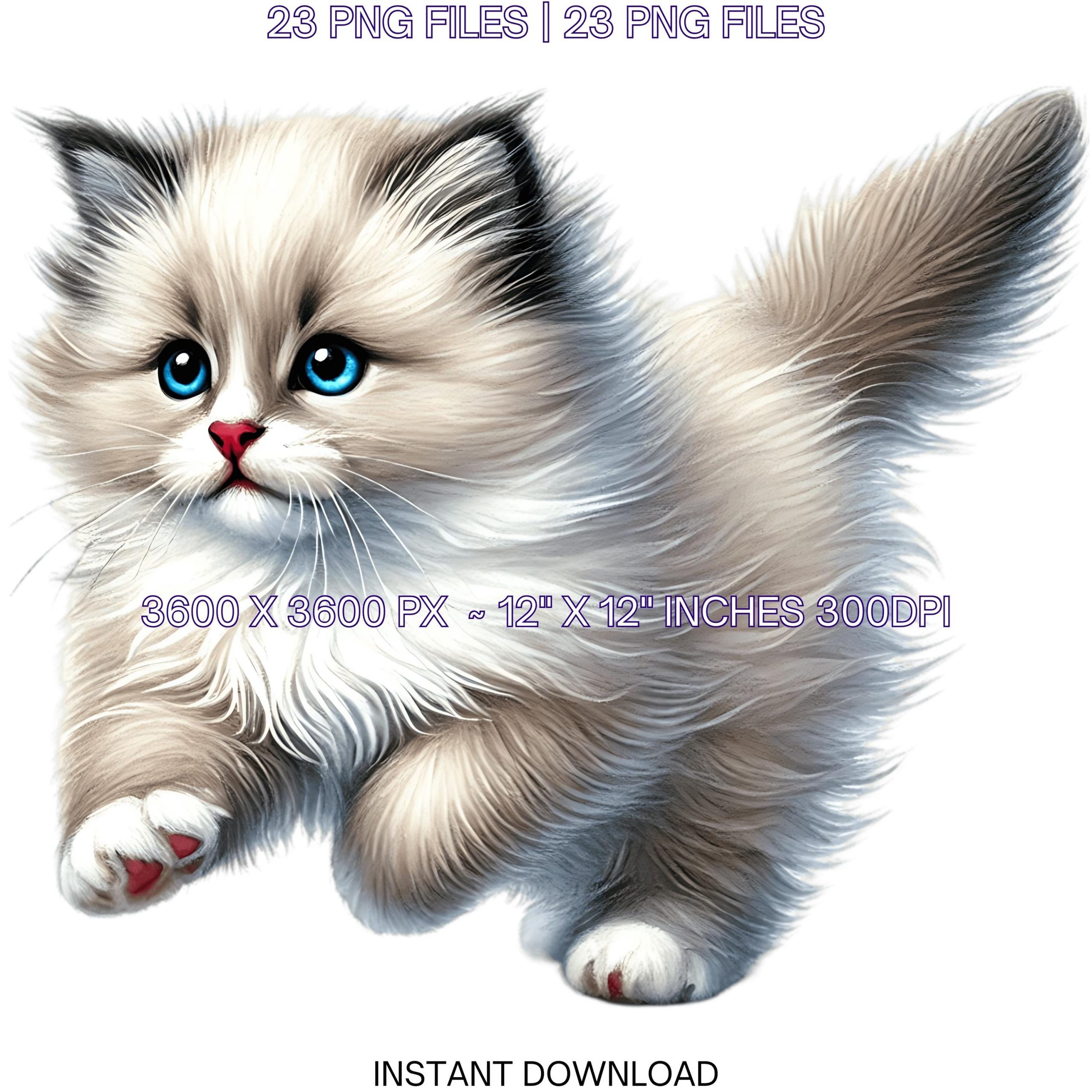 23 Ragdoll Kitten PNG Clipart, Watercolor Cat as Pet for Card Making, Scrapbooking Junk Journaling, Sublimation Illustrations Commercial Use – Instant Digital Download