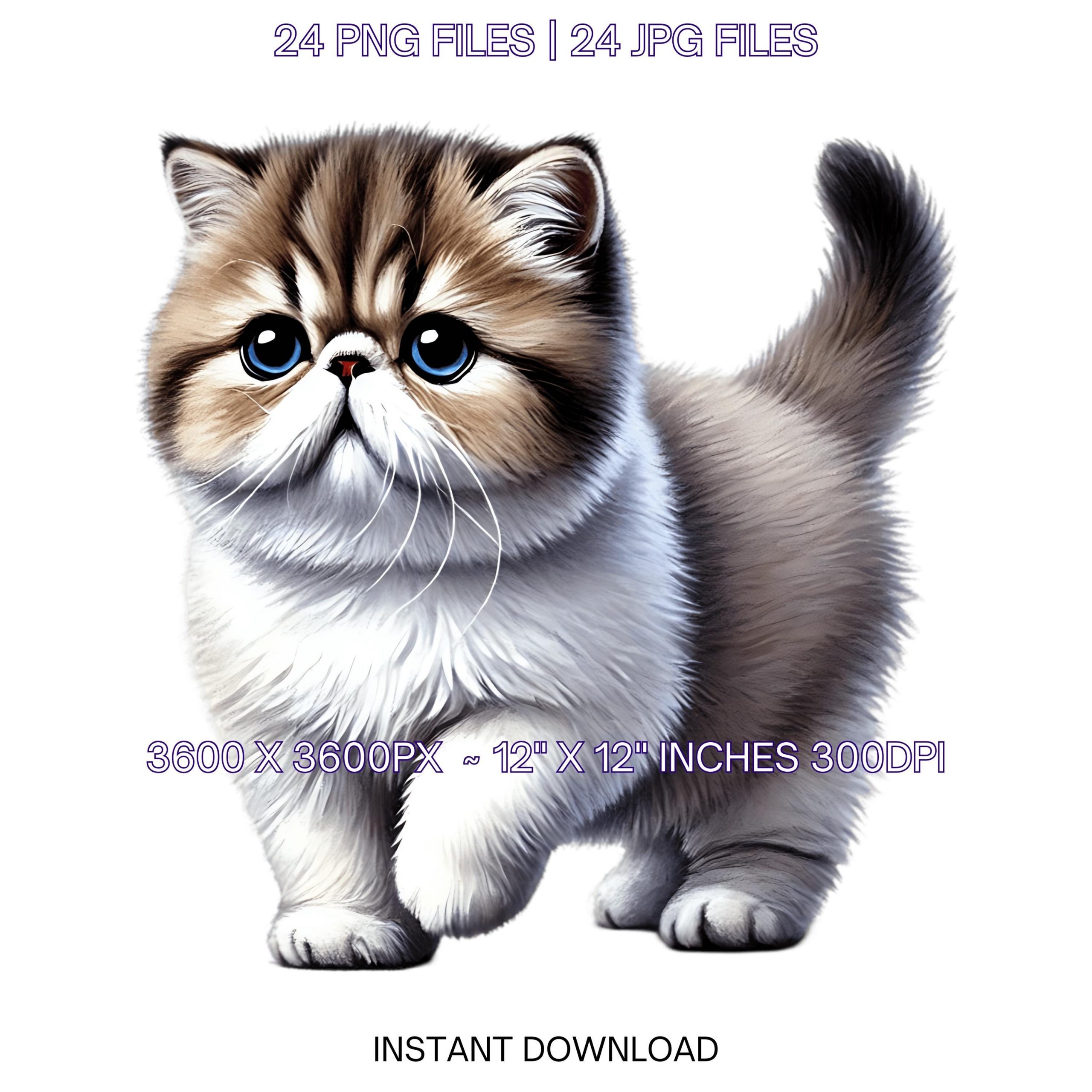 [Product/Subject Name] PNG clipart for sublimation and crafts