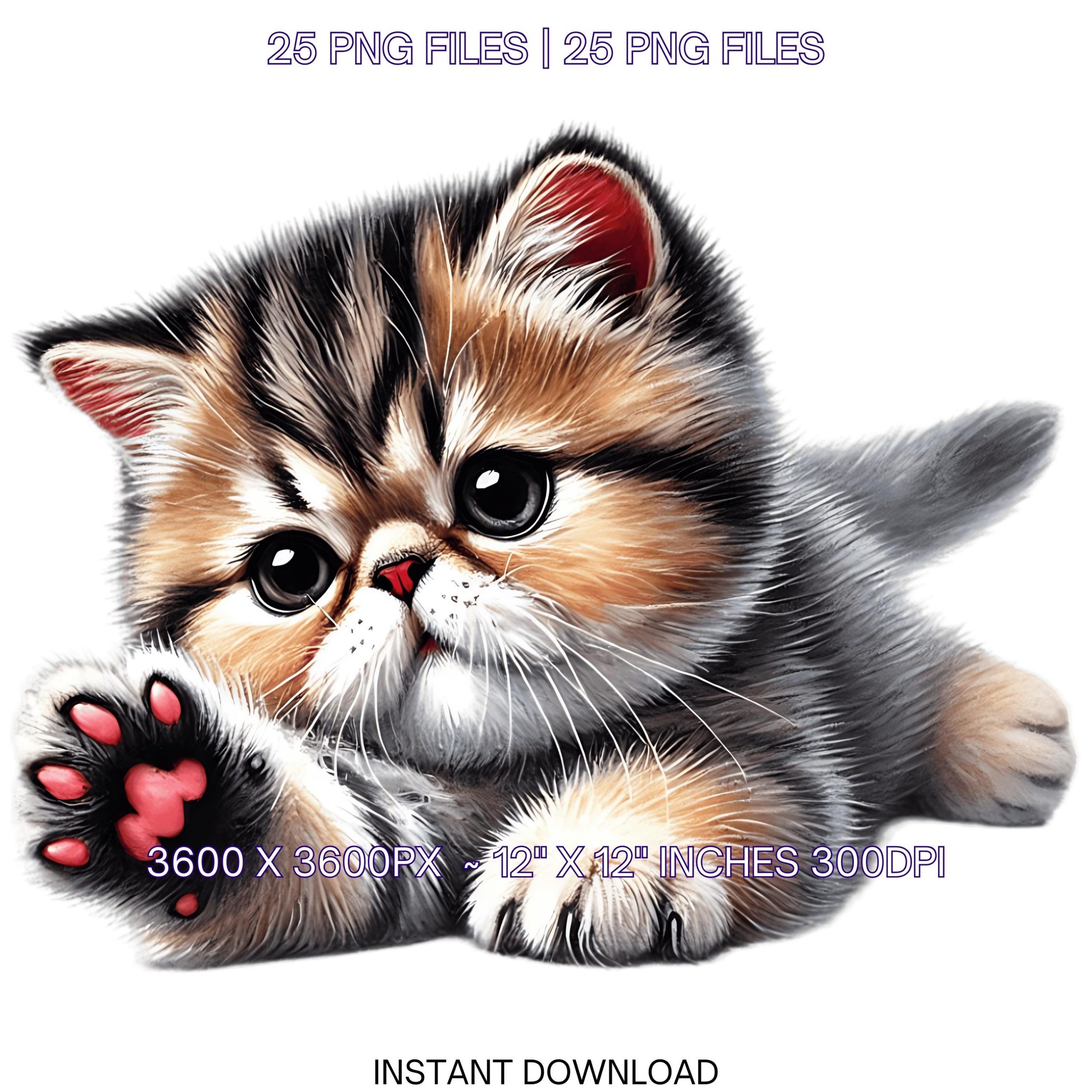 25 Exotic Shorthair Kitten PNG Clipart for Pet Portrait, Watercolor Pet Card Making Scrapbooking Junk Journaling, Sublimation Commercial Use – Instant Digital Download