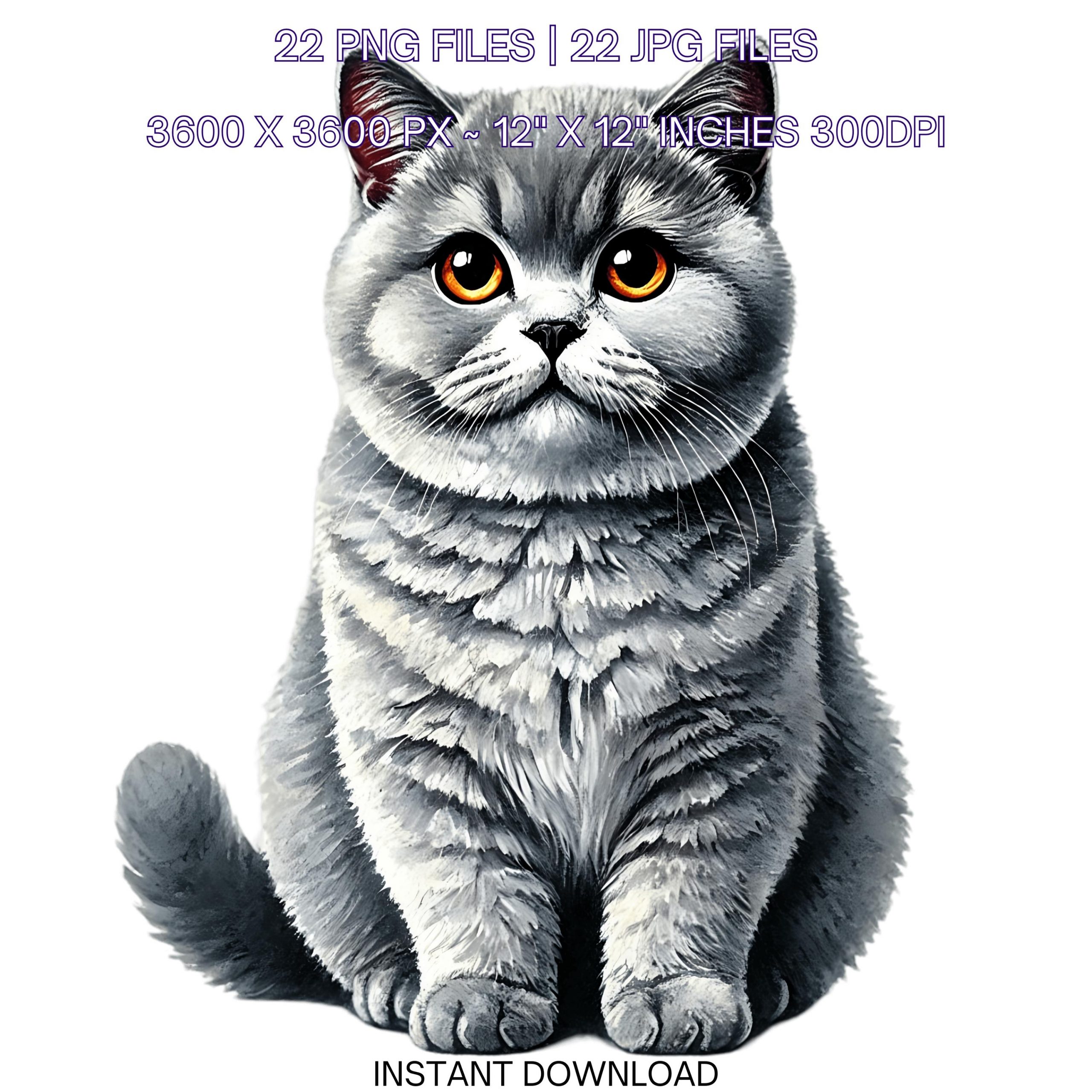 Pet Portret | 22 British Shorthair Cat PNG Clipart, Watercolor Pet for Card Making Scrapbooking Junk Journaling Sublimation Commercial Use – Instant Digital Download