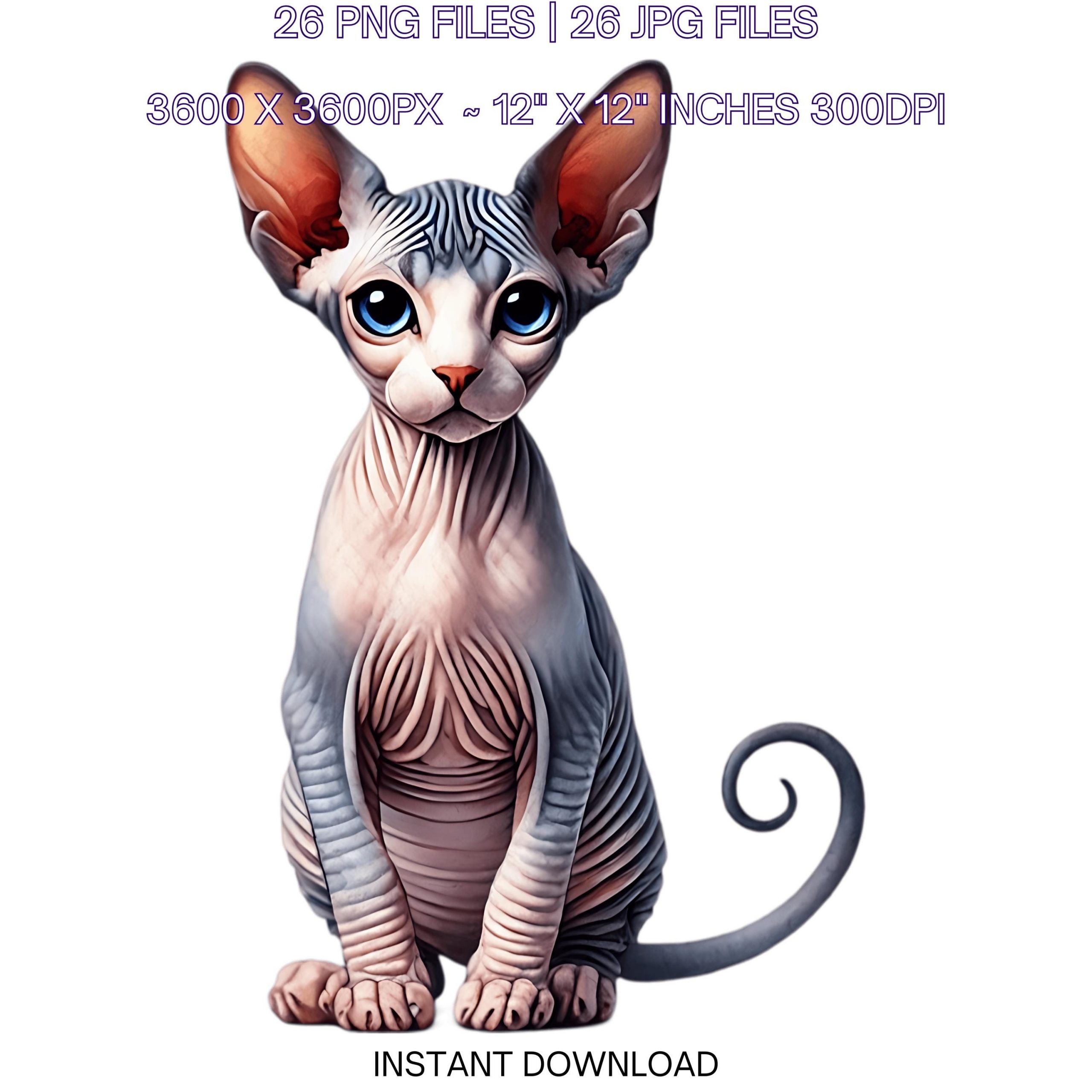 26 Sphynx Kitten PNG Clipart, Watercolor Cat as Pet Card Making, Scrapbooking Junk Journaling, Sublimation Illustrations Commercial Use – Instant Digital Download