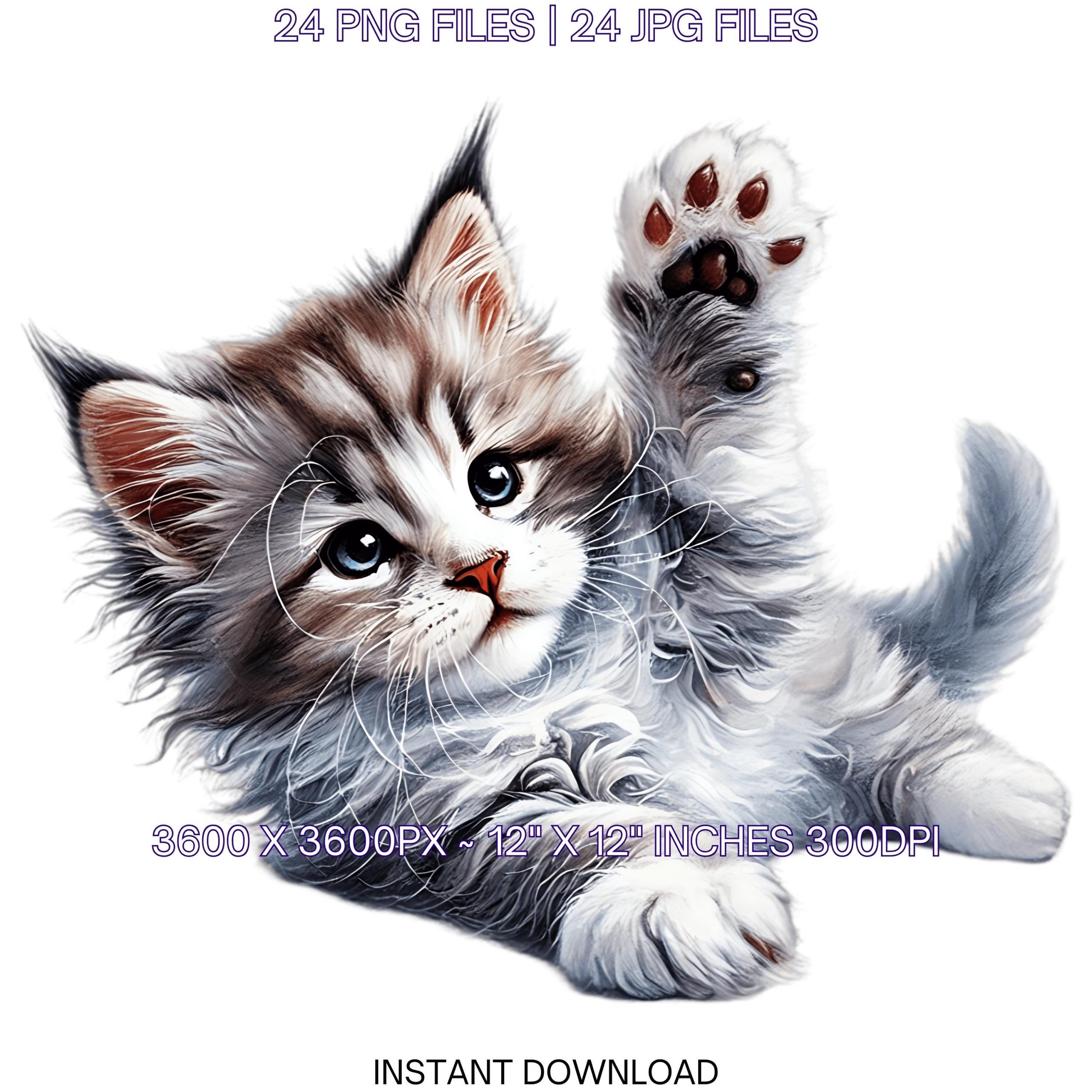 24 Maine Coon Kitten PNG Clipart for Pet Portrait, Watercolor Cat as Pet Card Making, Scrapbooking, Sublimation Illustrations Commercial Use – Instant Digital Download