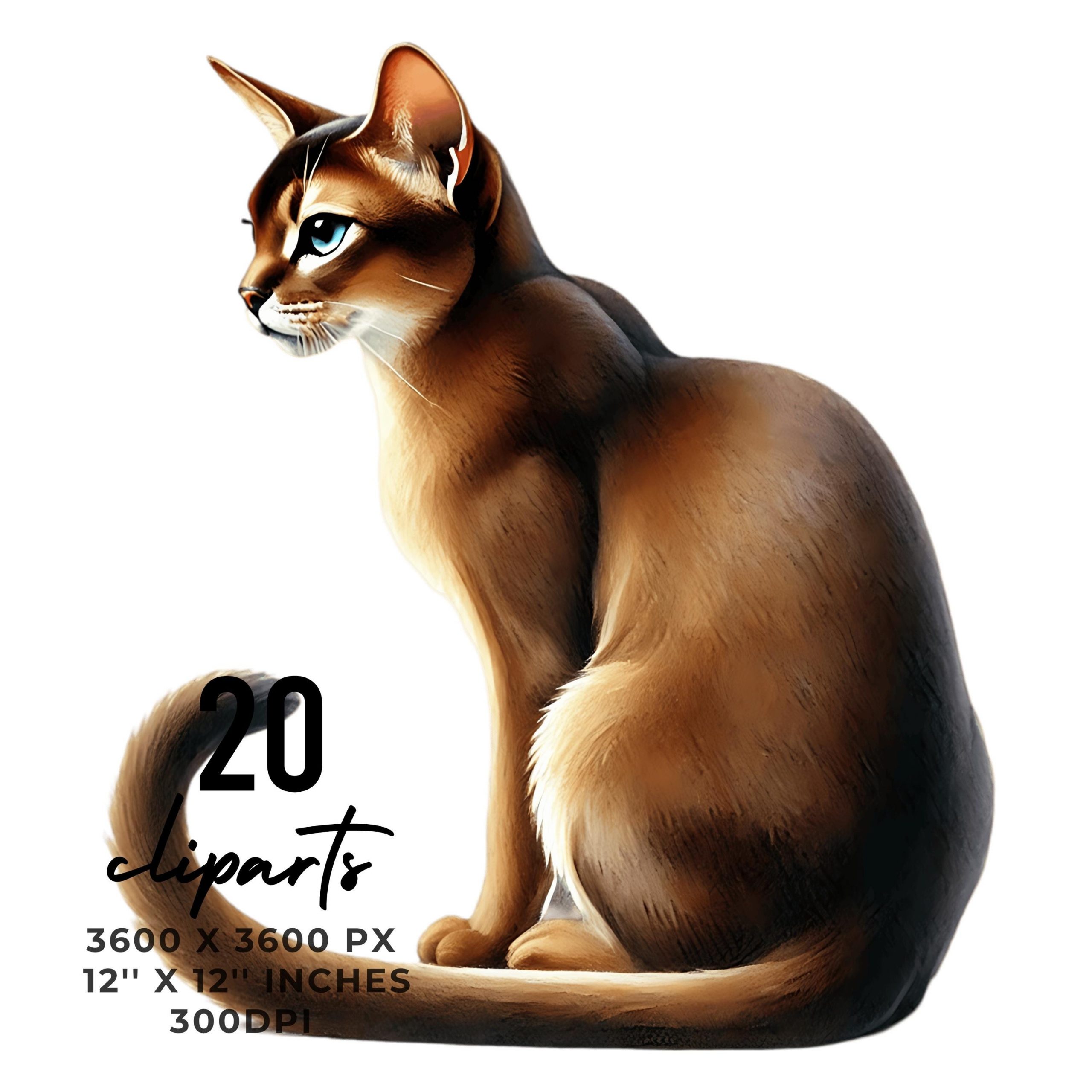 [Product/Subject Name] PNG clipart for sublimation and crafts