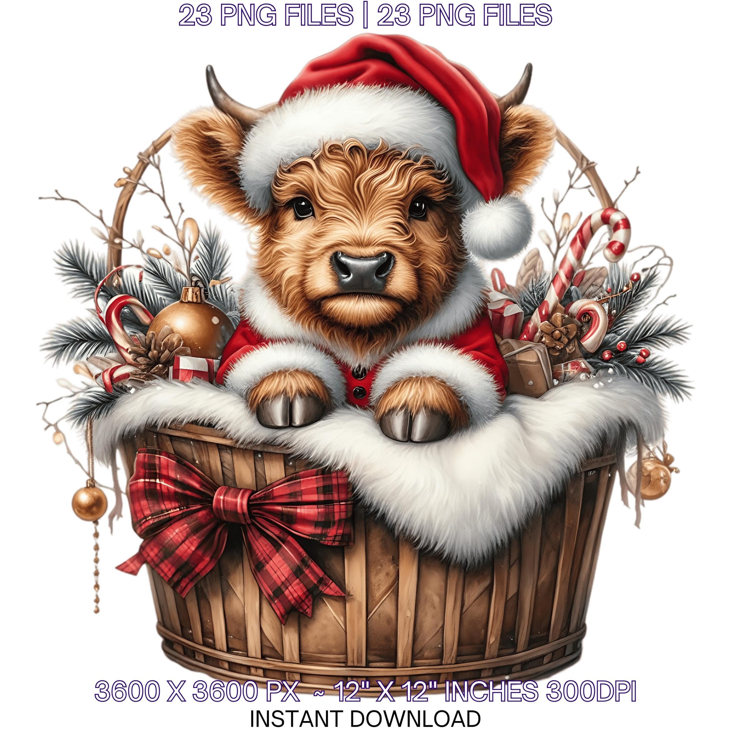 23 Highland Cow wearing Santa Suit sitting in a Basket for Xmas Christmas Holiday PNG Clipart | Scottish Cow | Sublimation Commercial Use – Instant Digital Download