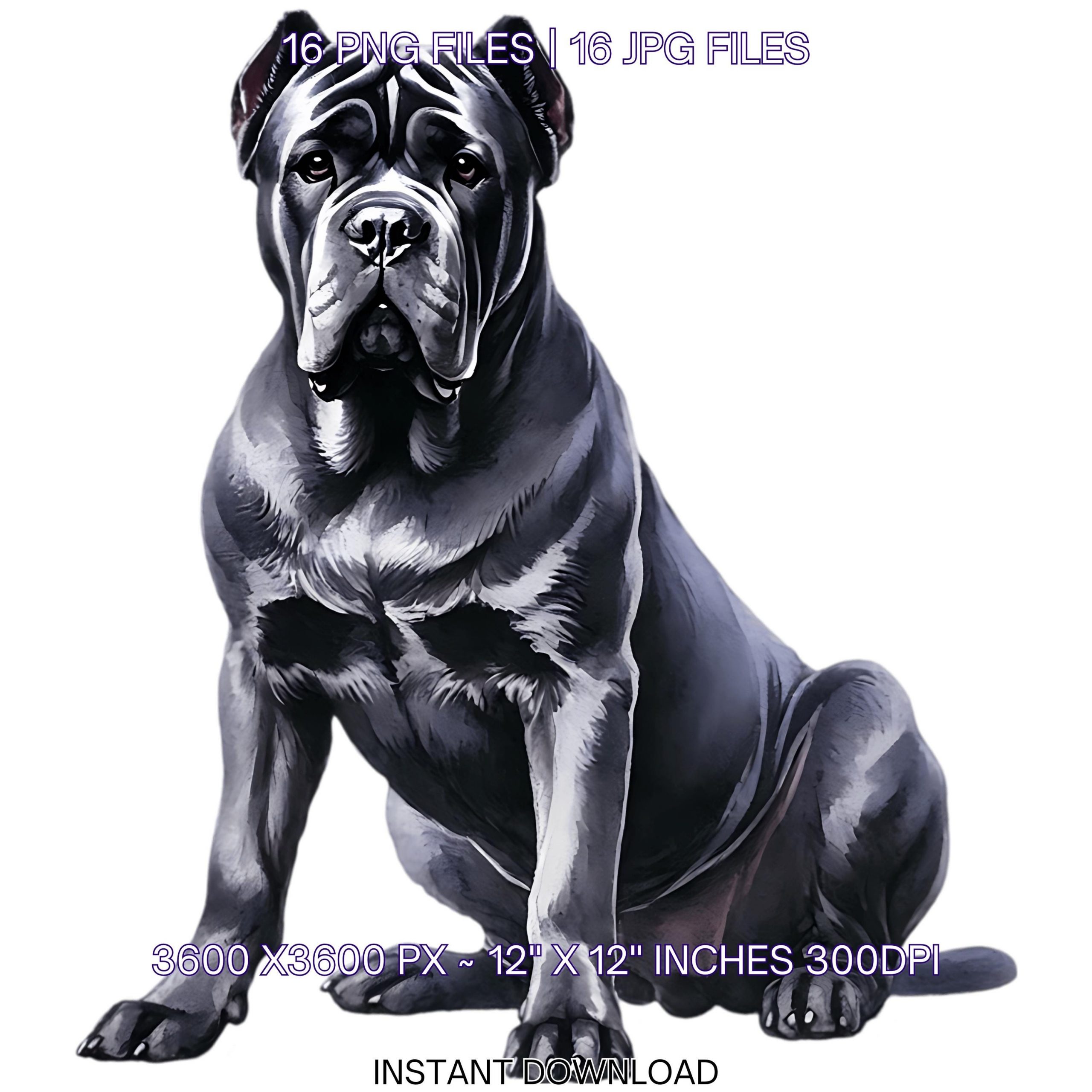 16 Black Cane Corso Dog for Pet Portrait PNG Clipart | Watercolor Baby Cane Corso Dog Card Making, Scrapbooking, Sublimation Commercial Use – Instant Digital Download