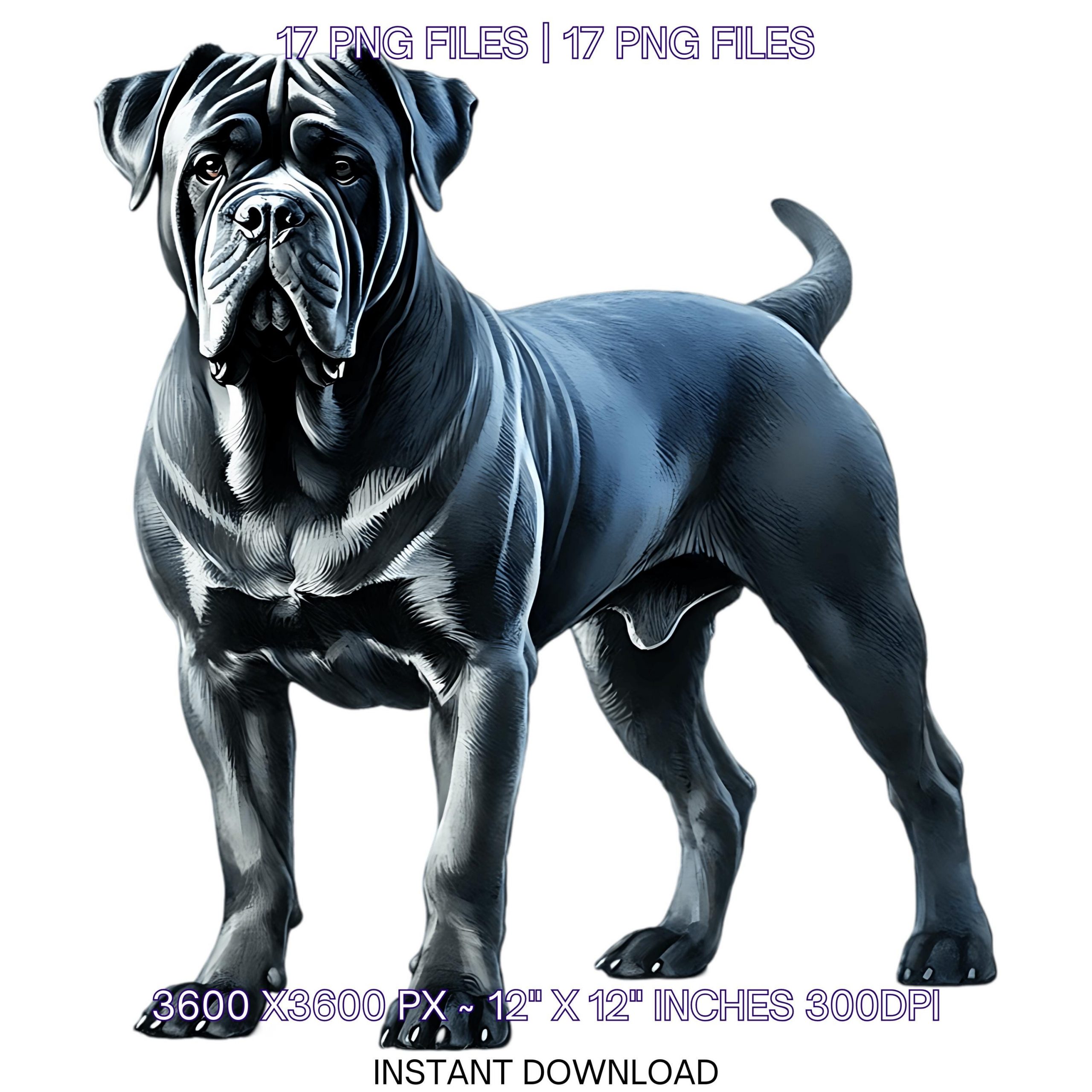 17 Cane Corso Dog for Pet Portrait PNG Clipart | Watercolor Black Cane Corso Dog for Card Making, Scrapbooking, Sublimation Commercial Use – Instant Digital Download