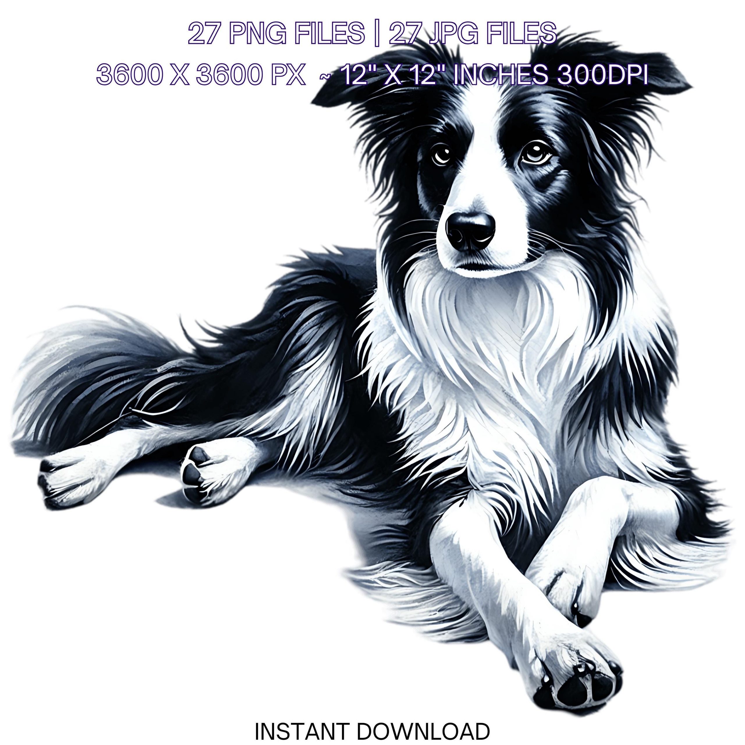 27 Border Collie Dog PNG Clipart, Watercolor Dog for Card Making, Scrapbooking, Junk Journaling, Sublimation Illustrations Commercial Use – Instant Digital Download