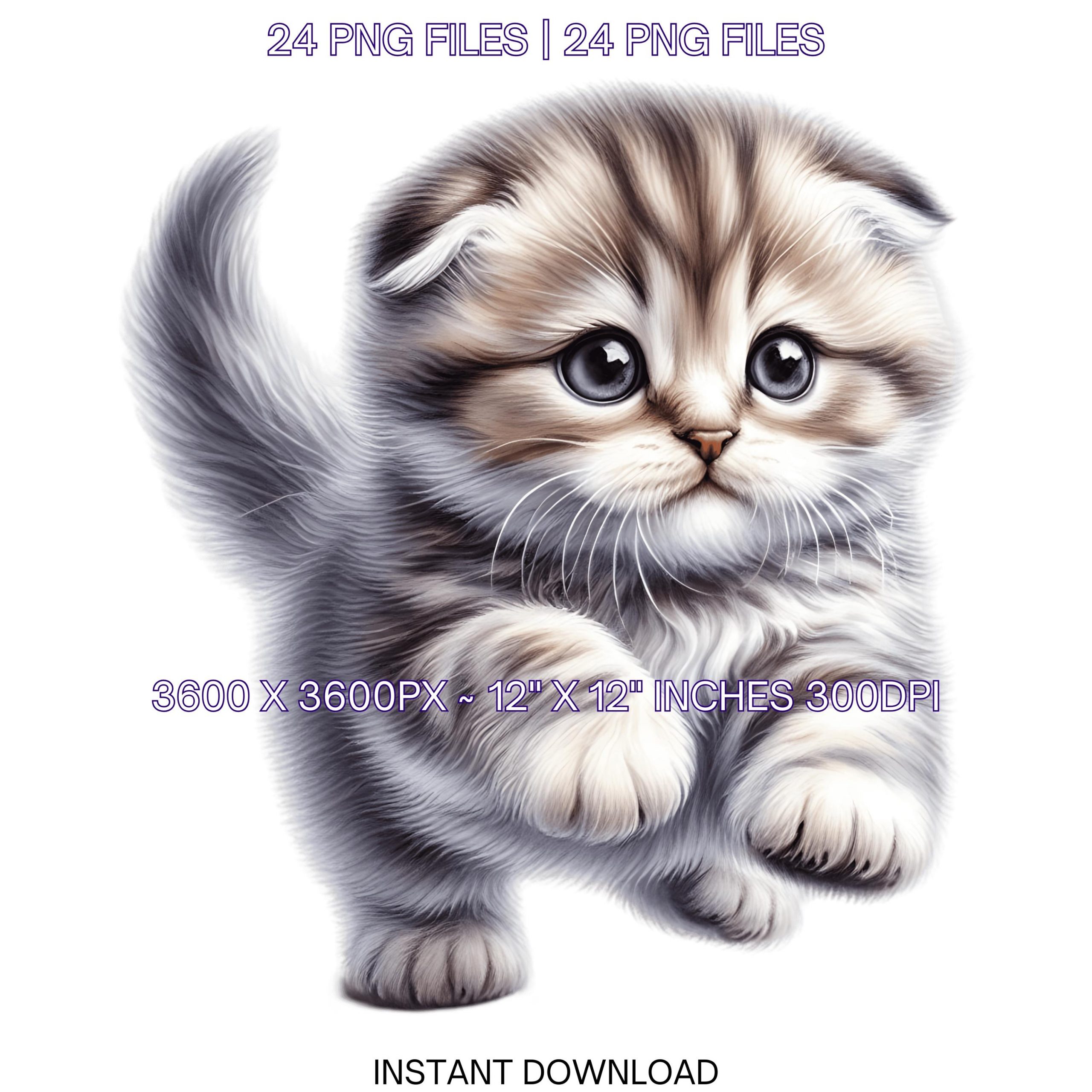 24 Scottish Fold Kitten PNG Clipart, Watercolor Pet for Card Making, Scrapbooking Junk Journaling, Sublimation Pet Portrait Commercial Use – Instant Digital Download