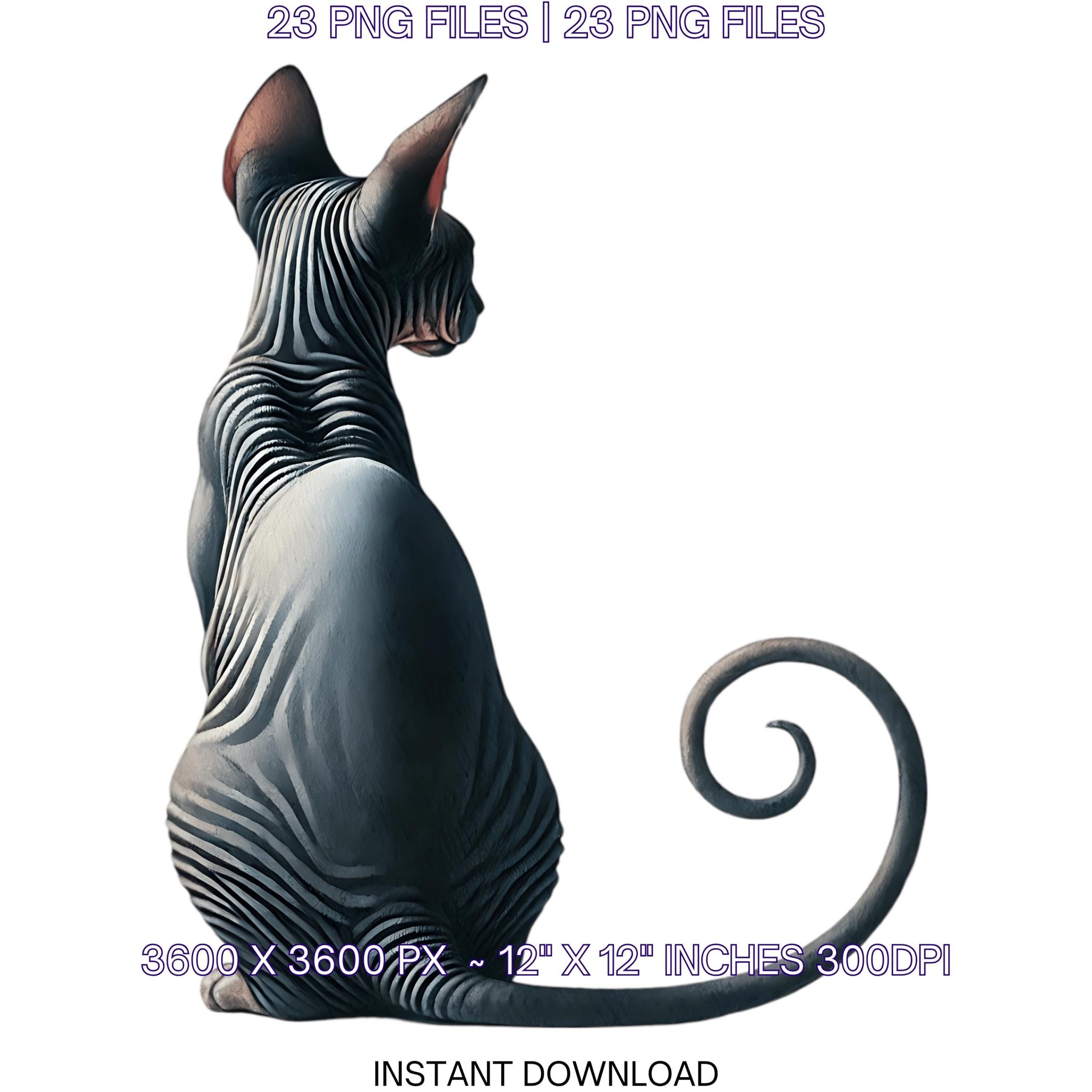 23 Sphynx Cat PNG Clipart, Watercolor Cats for Pets for Pet Portrait, Scrapbooking Junk Journaling, Sublimation Illustrations Commercial Use – Instant Digital Download