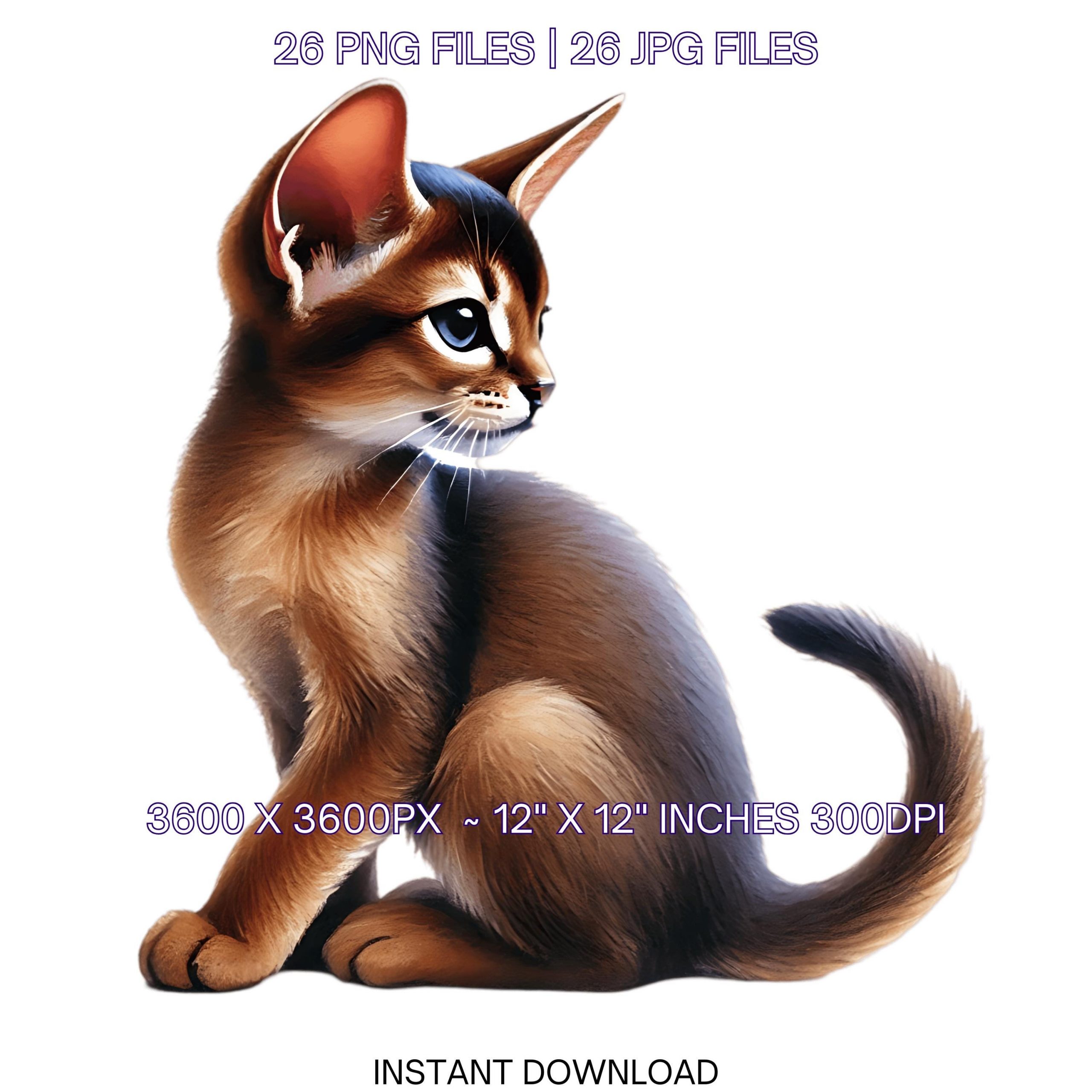 26 Abyssinian Kitten for Pet Portrait PNG Clipart, Watercolor Cat as Pet Card Making Junk Journaling Sublimation Commercial Use – Instant Digital Download
