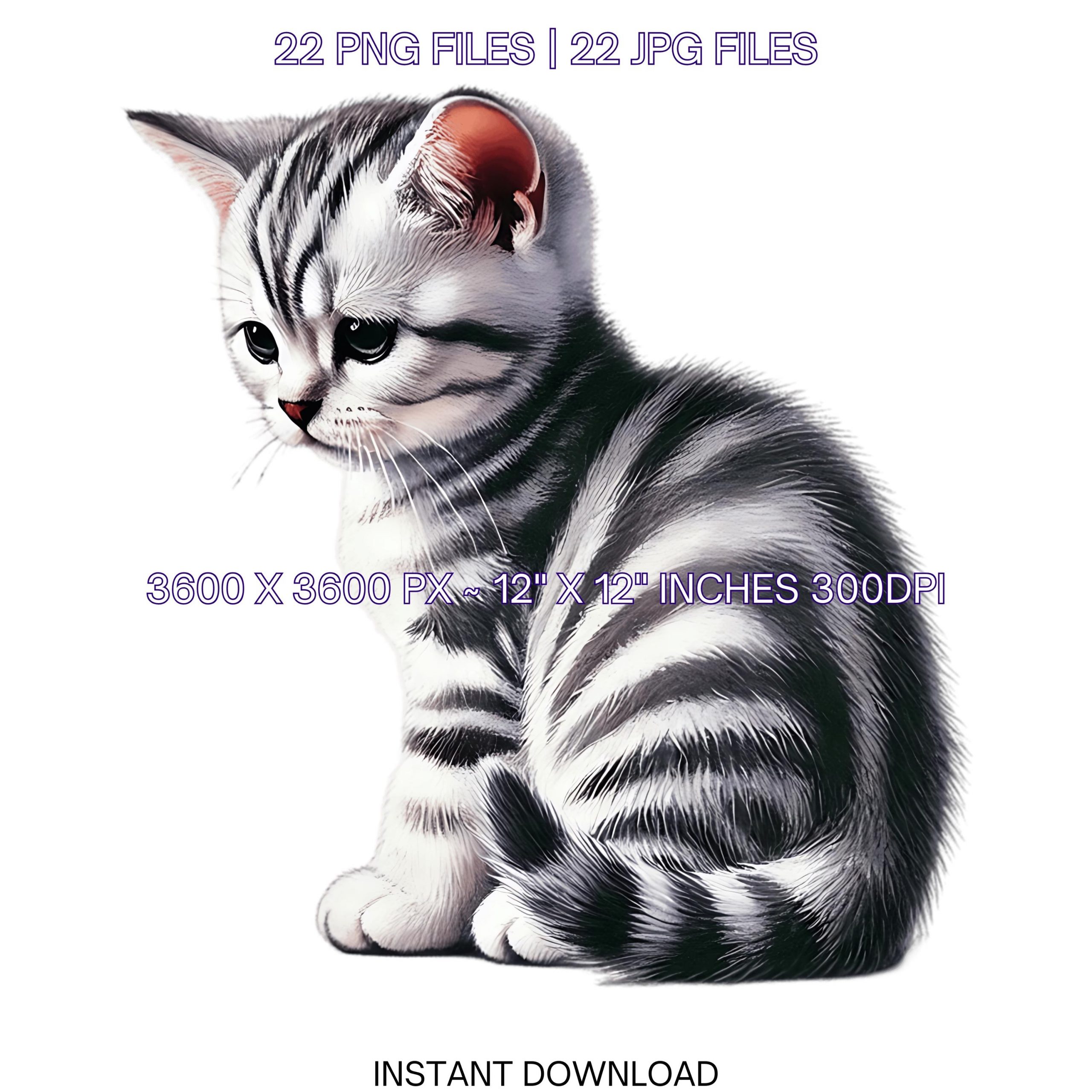 22 American Shorthair Kitten PNG Clipart, Watercolor Pet Portrait, Scrapbooking Junk Journaling, Sublimation Illustrations Commercial Use – Instant Digital Download