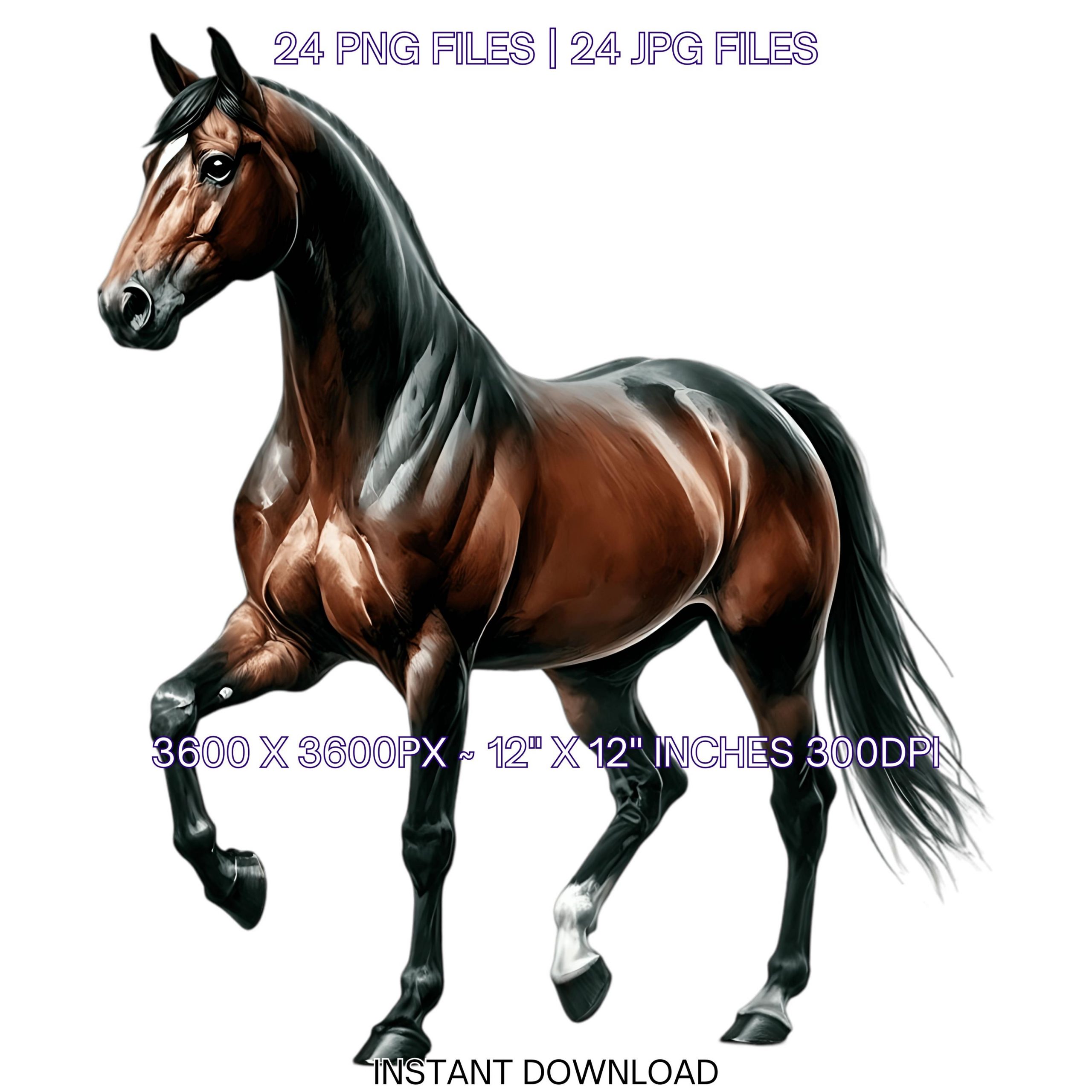 24 Standardbred Horse PNG Clipart, Watercolor Farm Animals for Card Making, Scrapbooking, Junk Journaling, Sublimation Image Commercial Use – Instant Digital Download
