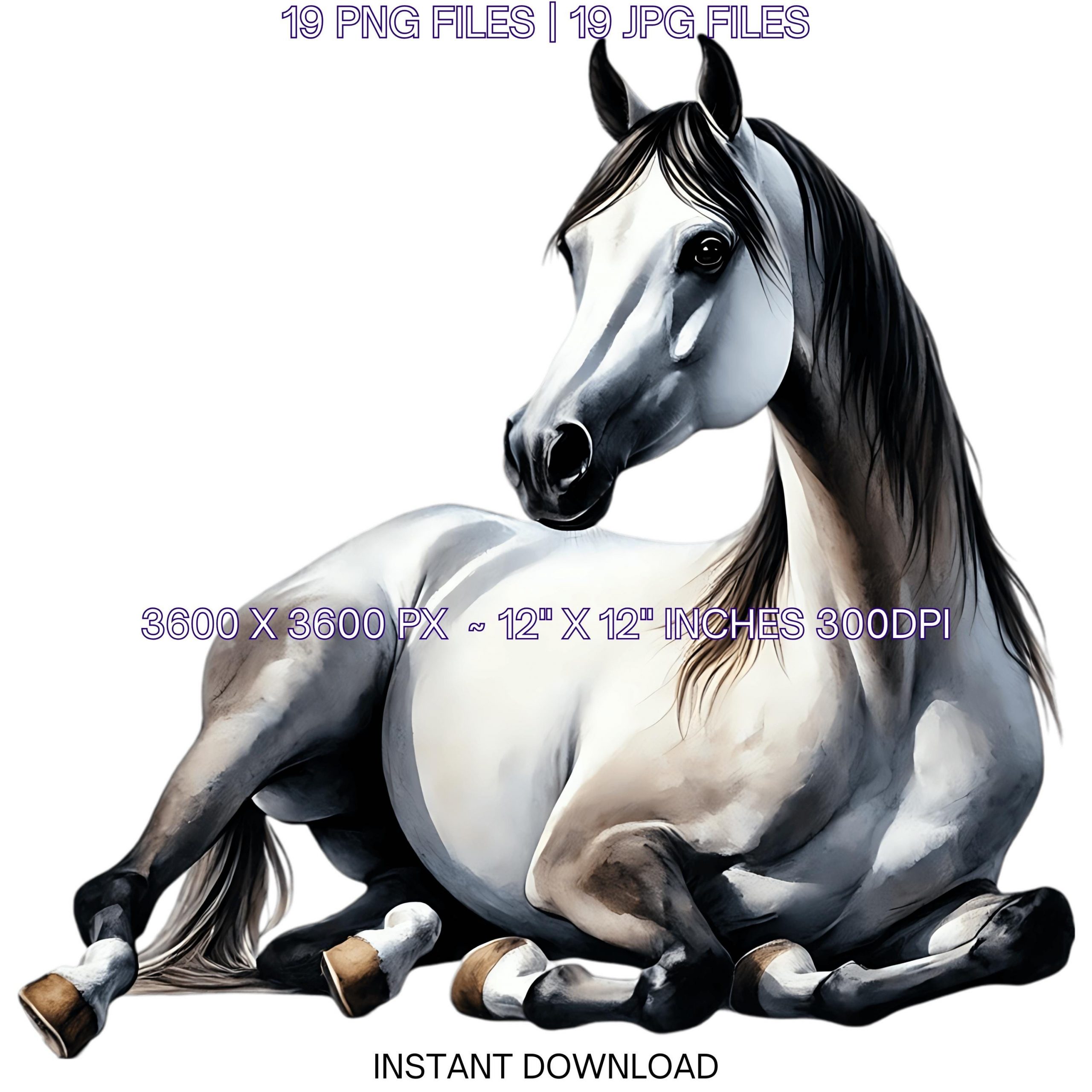 19 Arabian Horse PNG Clipart, Watercolor Farm Animals for Card Making, Scrapbooking, Junk Journaling, Sublimation Image Commercial Use – Instant Digital Download