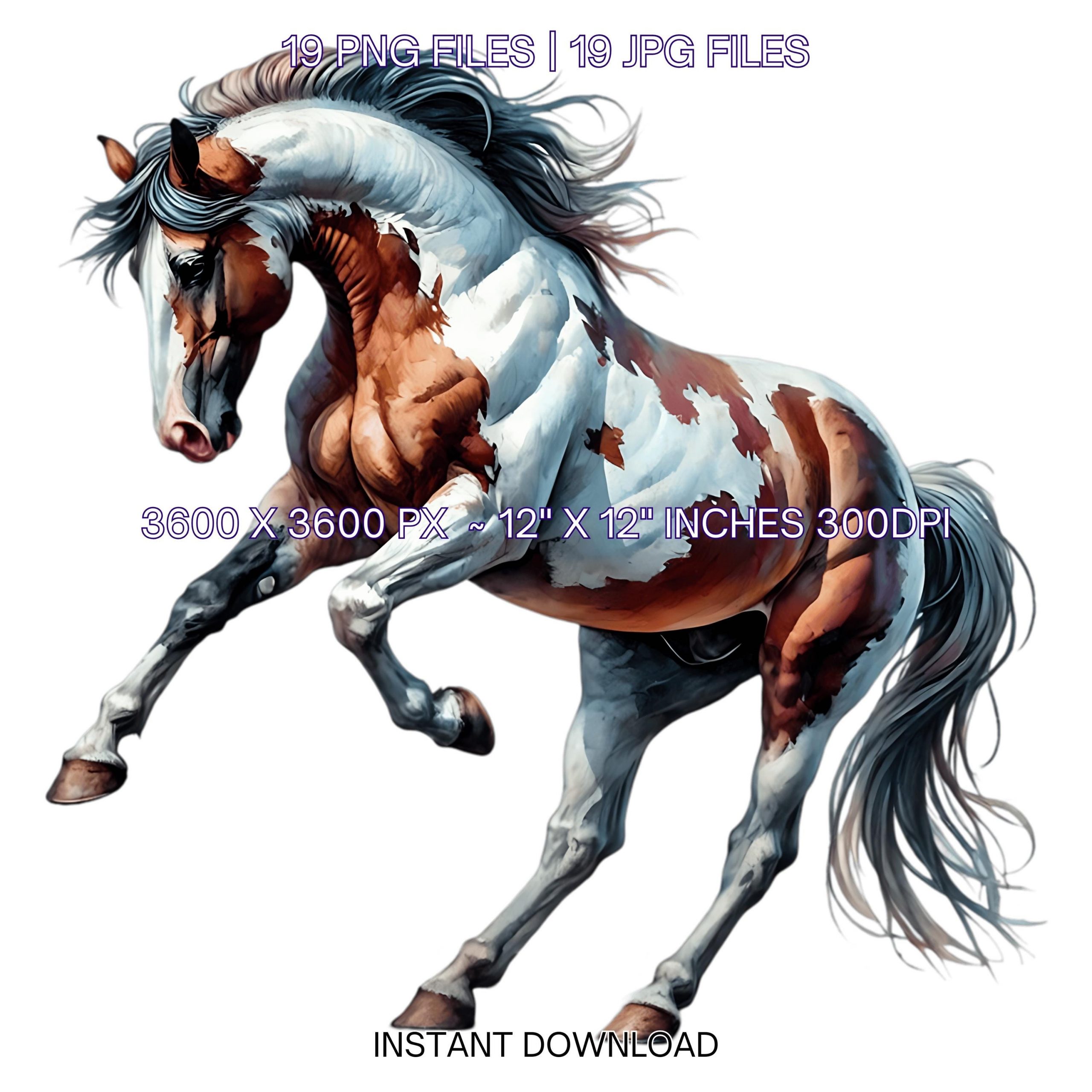19 American Paint Horse PNG Clipart, Watercolor Farm Animals for Card Making, Scrapbooking Junk Journaling, Sublimation Image Commercial Use – Instant Digital Download
