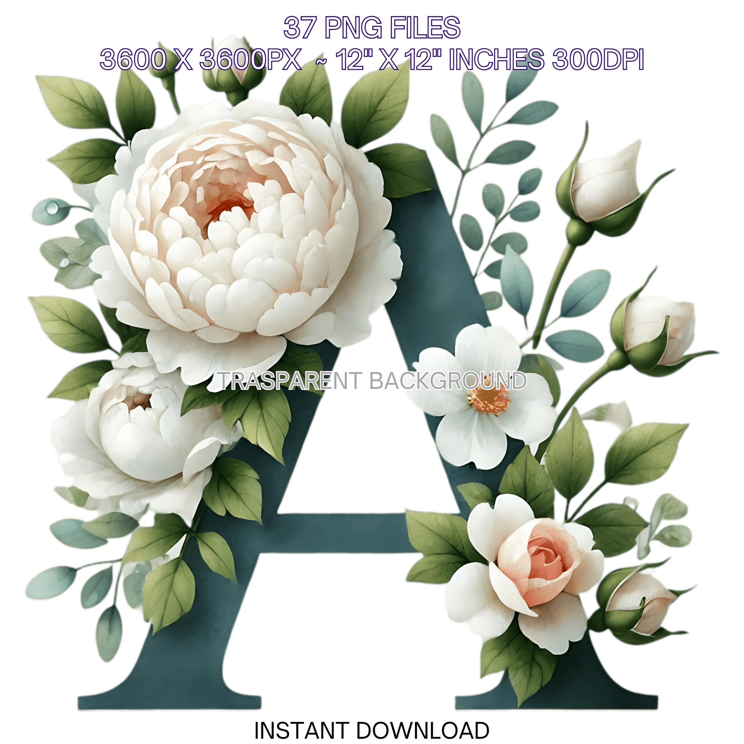 Watercolor Peonies and Roses Alphabet PNG | 37 Botanical Monogram | White Green Letters, Numbers for Invitation Cards Clipart Commercial Use – Instant Digital Download