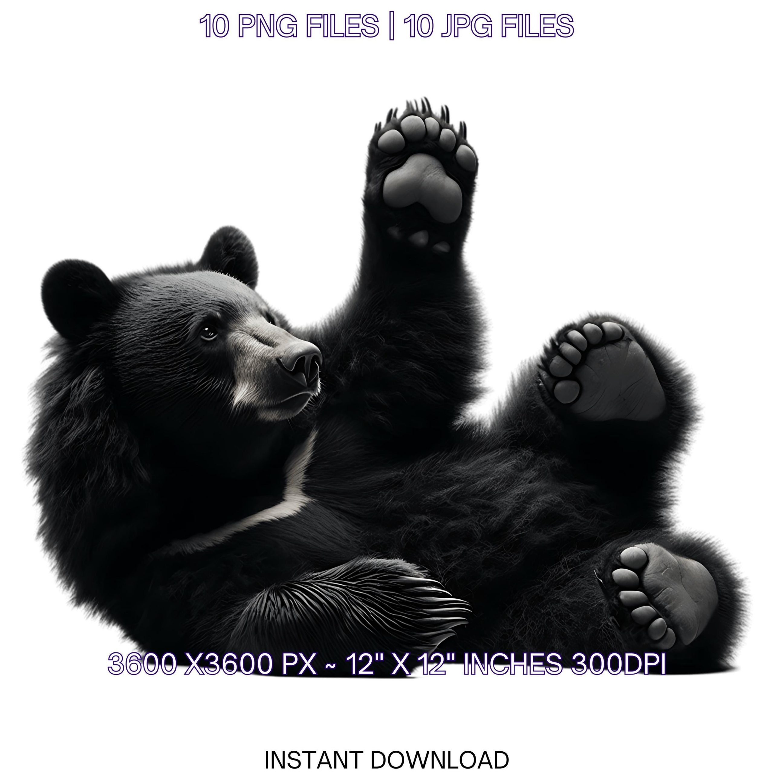 10 Black Bear PNG Clipart | Watercolor American Black Bear for Card Making, Scrapbooking, Junk Journaling, Sublimation | Commercial Use – Instant Digital Download