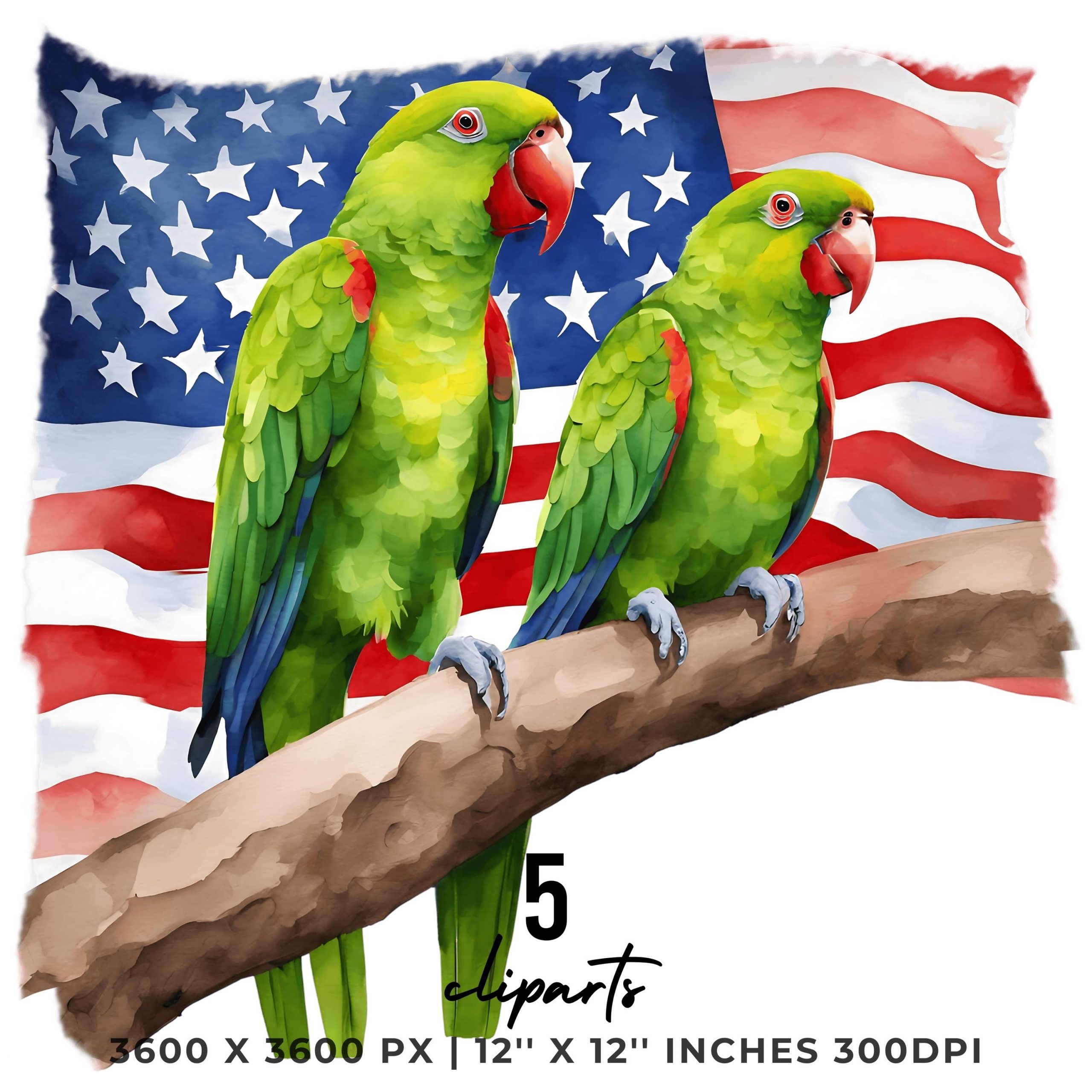 PARROT Flag PNG | 5 Patriotic USA Parrot Flag Clipart | Watercolor United States Thick-Billed Parrot Flag Sublimation Transparent Commercial – Instant Digital Download