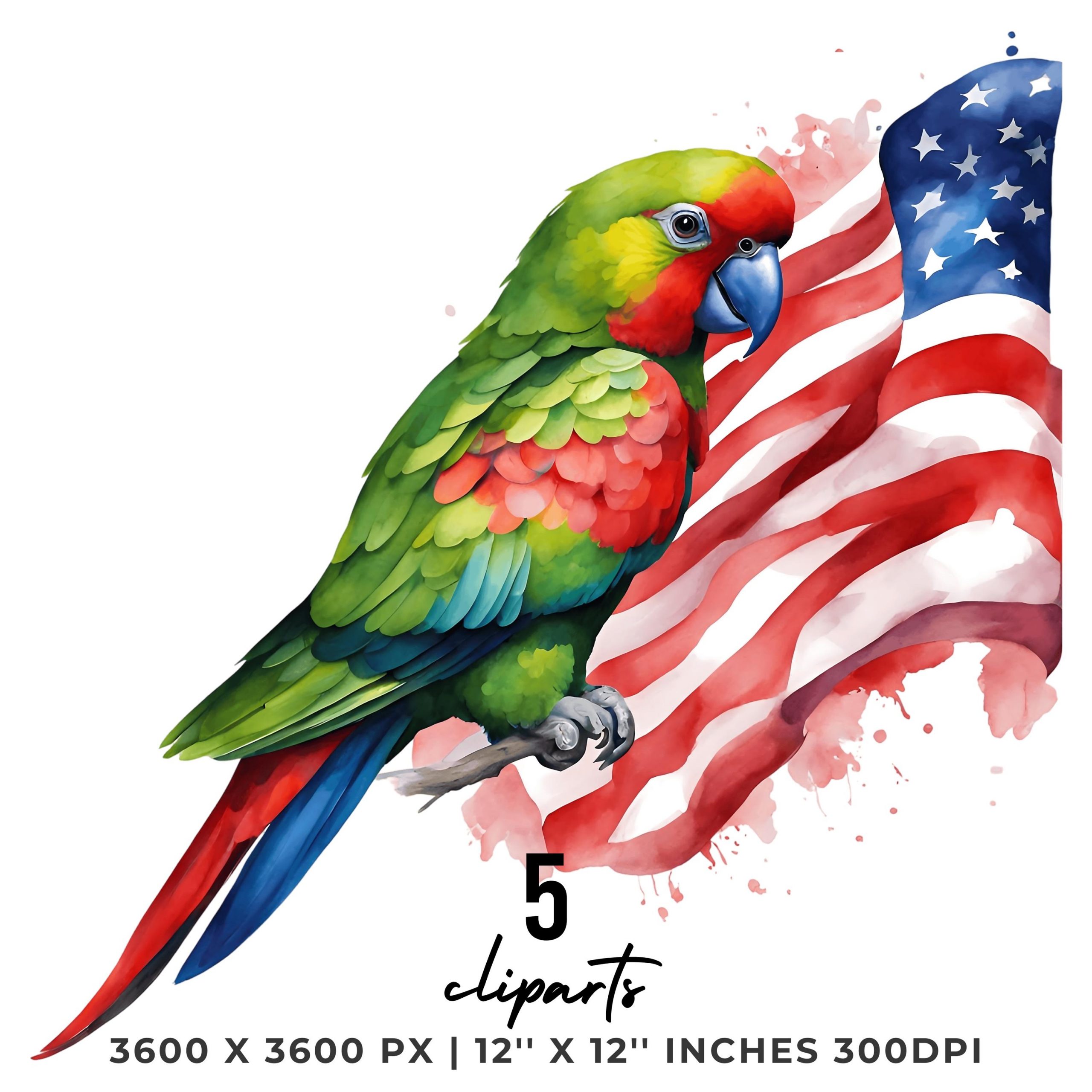 Watercolor PARROT Flag PNG | 5 Patriotic USA Parrot Flag Clipart | United States Thick-Billed Parrot Flag Sublimation Transparent Commercial – Instant Digital Download