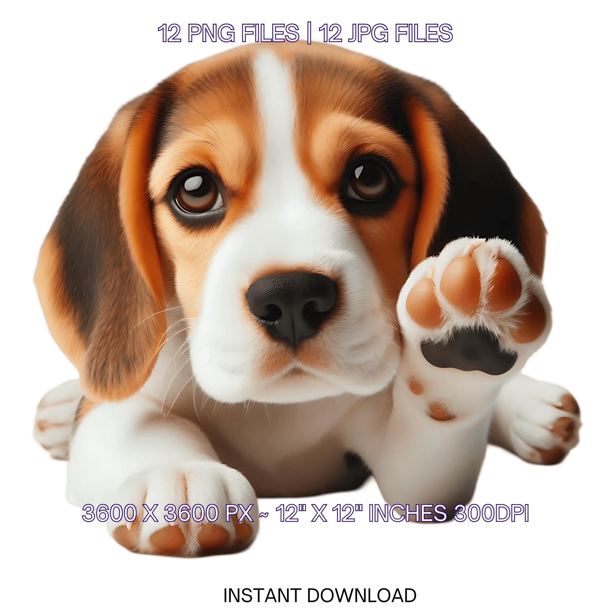 12 Beagle Puppy Dog PNG Clipart | Watercolor Baby Beagle Dog for Card Making, Scrapbooking, Junk Journaling, Sublimation | Commercial Use – Instant Digital Download