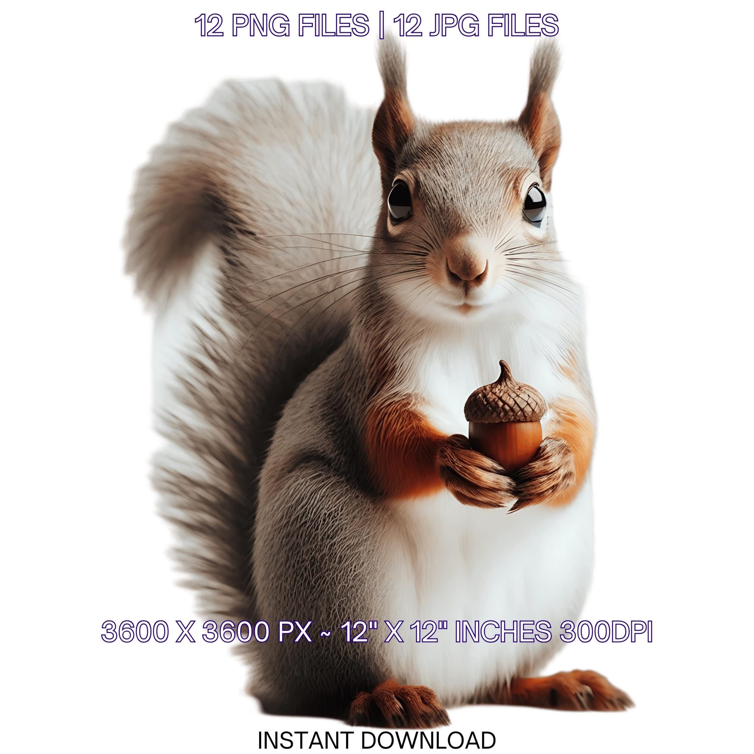 12 Squirrel Dog PNG Clipart | Watercolor Baby Squirrel for Card Making, Scrapbooking, Junk Journaling, Sublimation | Commercial Use – Instant Digital Download