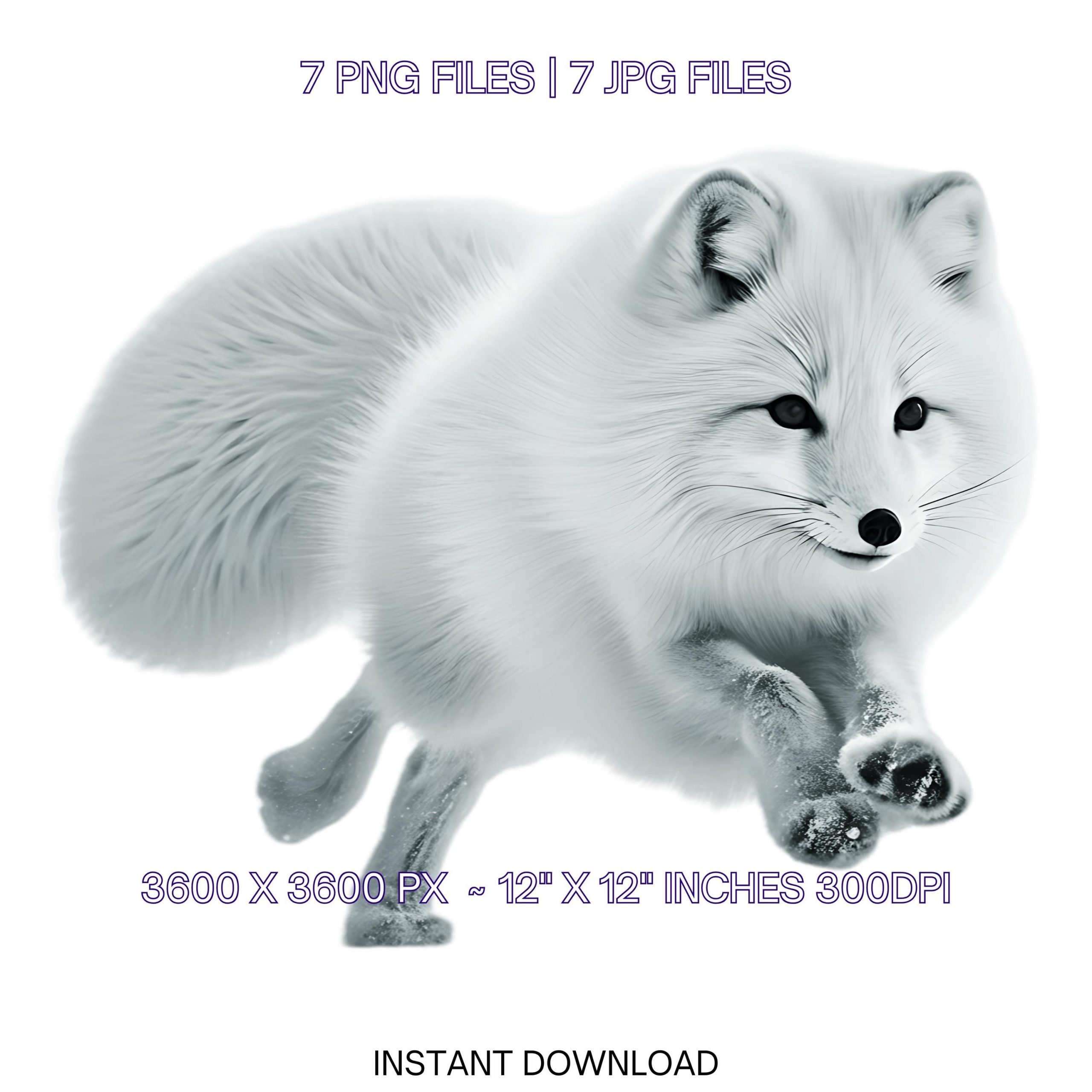 7 Arctic Fox PNG Clipart | Watercolor Baby White Fox for Card Making, Scrapbooking, Junk Journaling, Sublimation | Commercial Use – Instant Digital Download