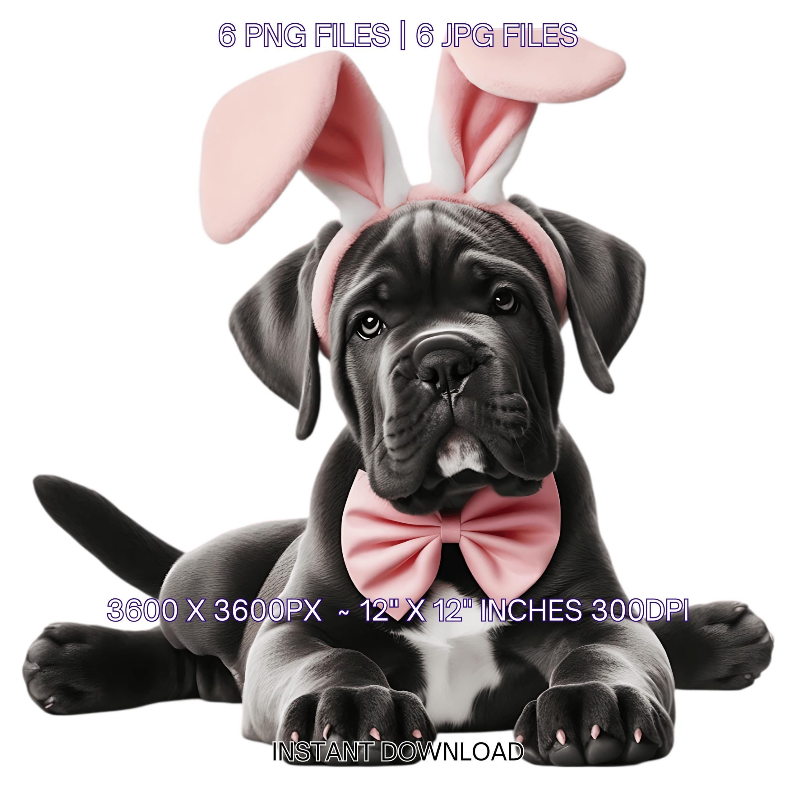 6 Cane Corso Puppy Dog wearing Pink Bow & Bunny Ears Headband Watercolor PNG Clipart for Card, Scrapbooking, Sublimation Commercial Use – Instant Digital Download