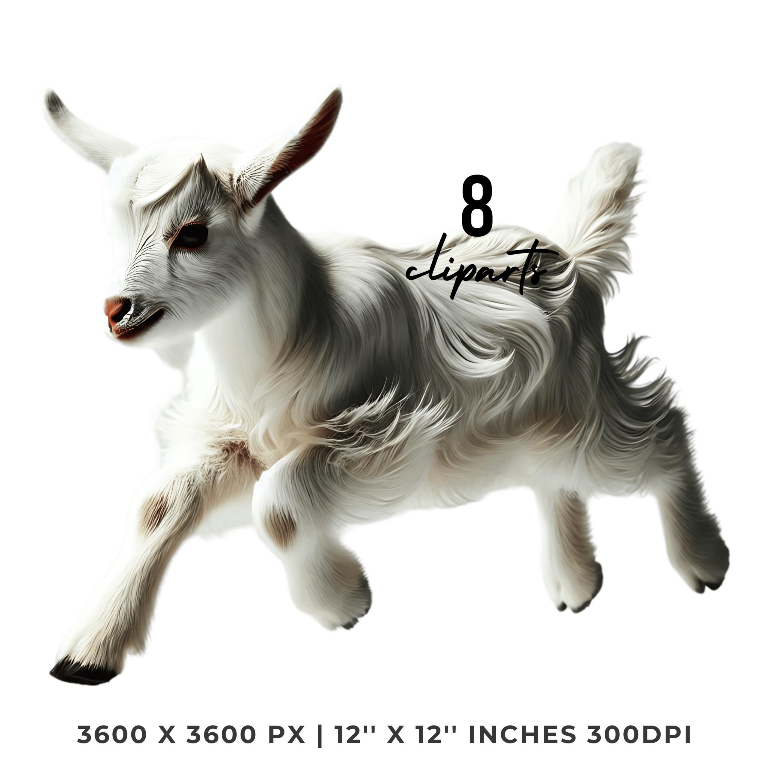 8 Cute Watercolor White Goat Watercolor Clipart PNG | Spring Easter Funny Goat Kid Graphic Design Illustration Sublimation | Commercial Use – Instant Digital Download